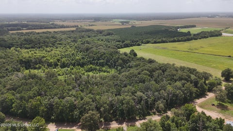 Vacant Land For Sale - N Sandhill Road<br/> Rankin County, Lena, MS 39094