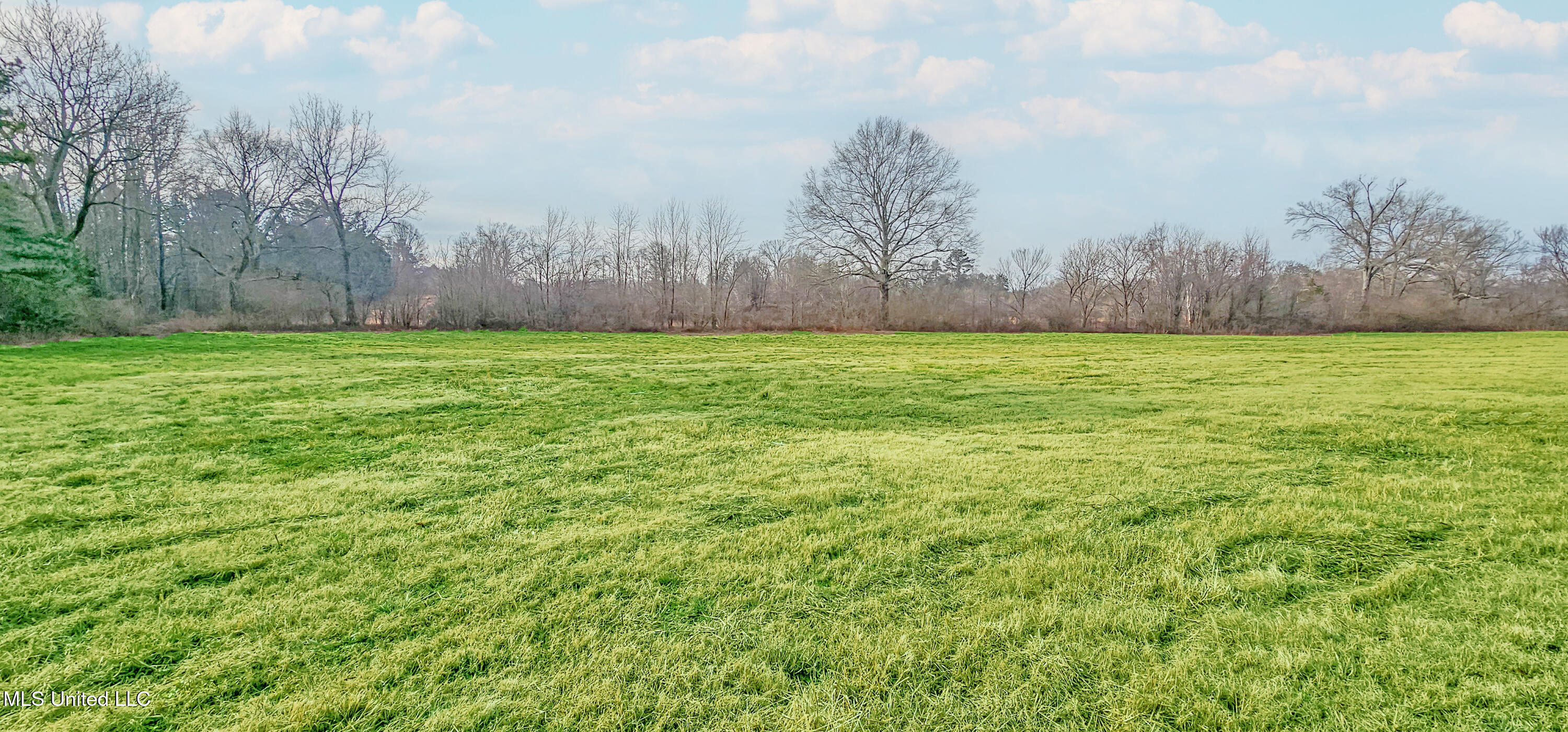 200 Rossville Road, Holly Springs, Mississippi image 3