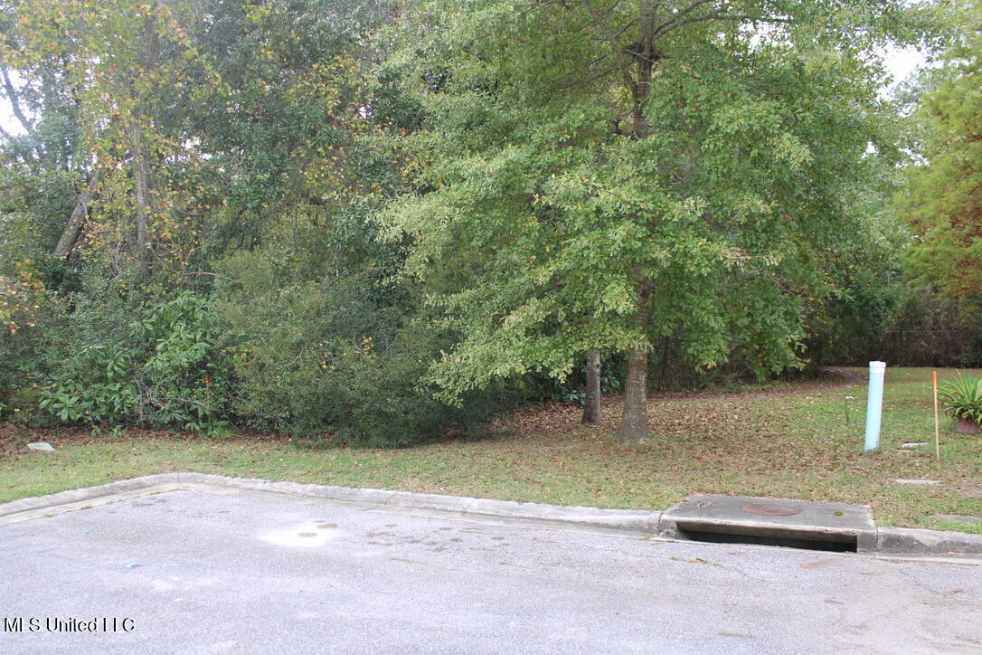 W Park Drive, Ocean Springs, Mississippi image 1