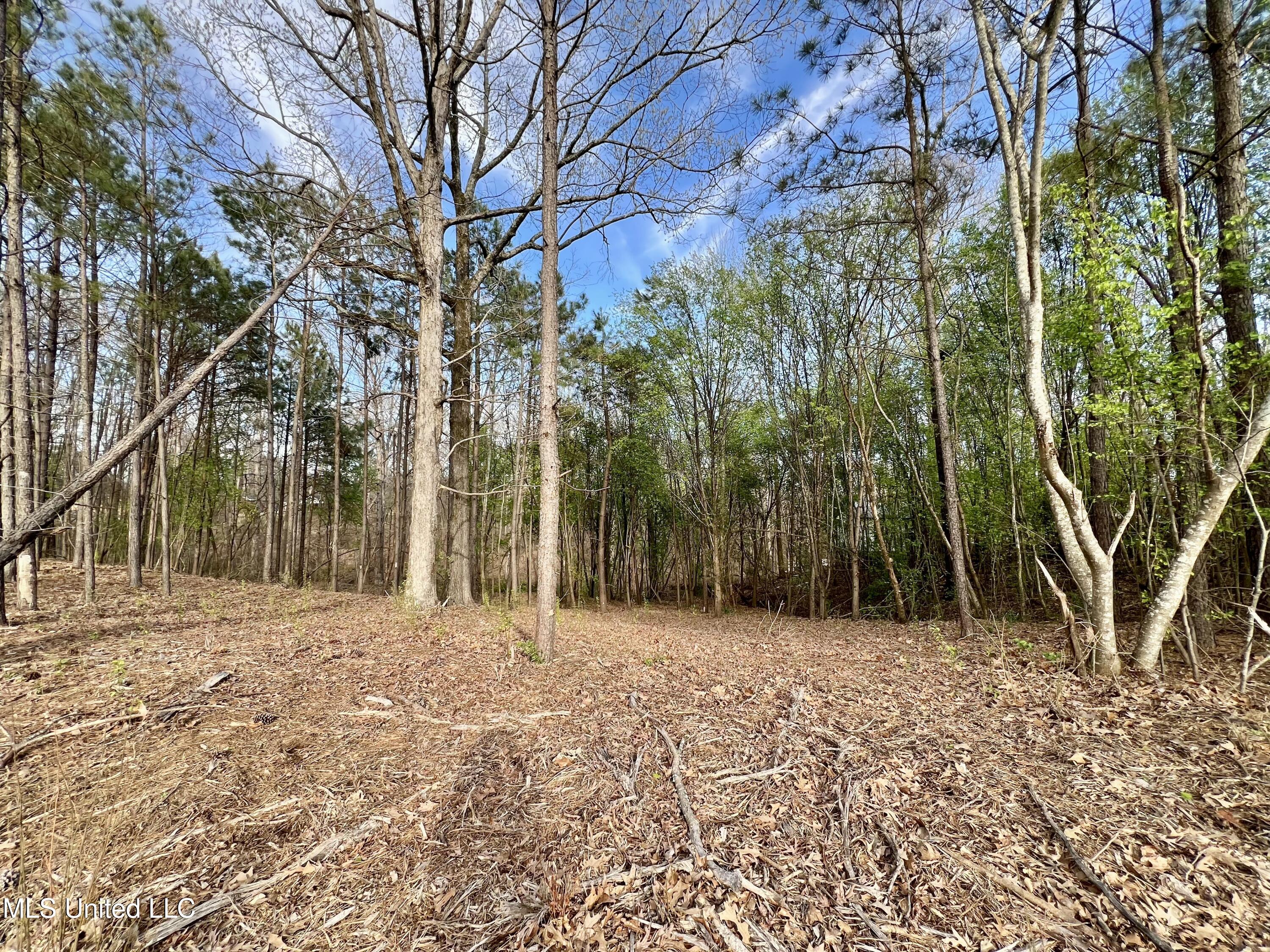 8780 E Thunderbird Drive, Hernando, Mississippi image 2