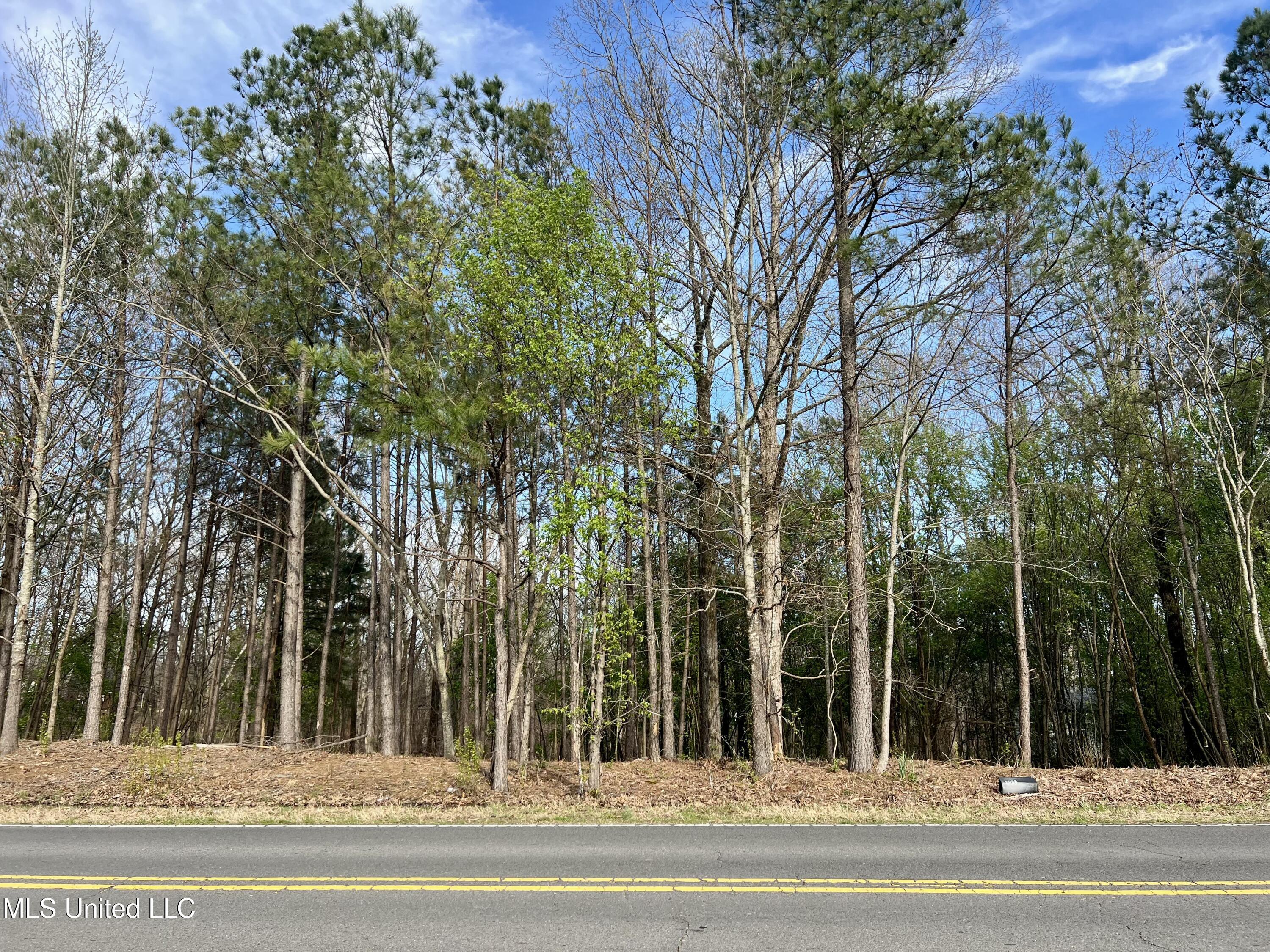 8780 E Thunderbird Drive, Hernando, Mississippi image 1