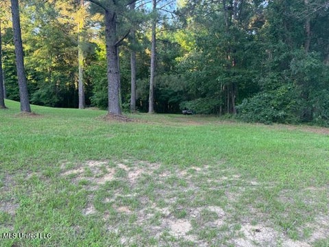 Vacant Land For Sale - Fairway Drive<br/> Natchez, MS 39120
