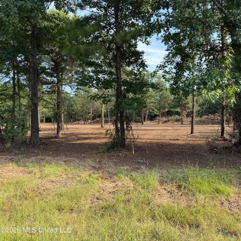 Vacant Land For Sale - Us-80<br/> Lawrence, MS 39336