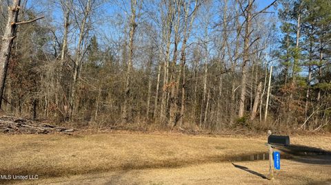 Vacant Land For Sale - Us-80<br/> Newton County, Lawrence, MS 39336