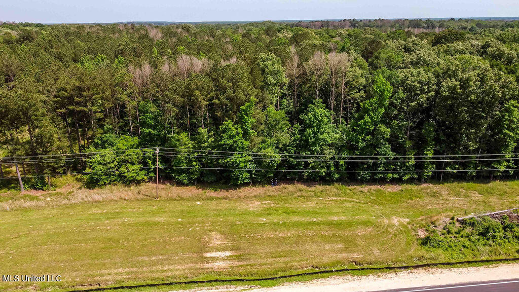 000 Highway 25, Brandon, Mississippi image 9