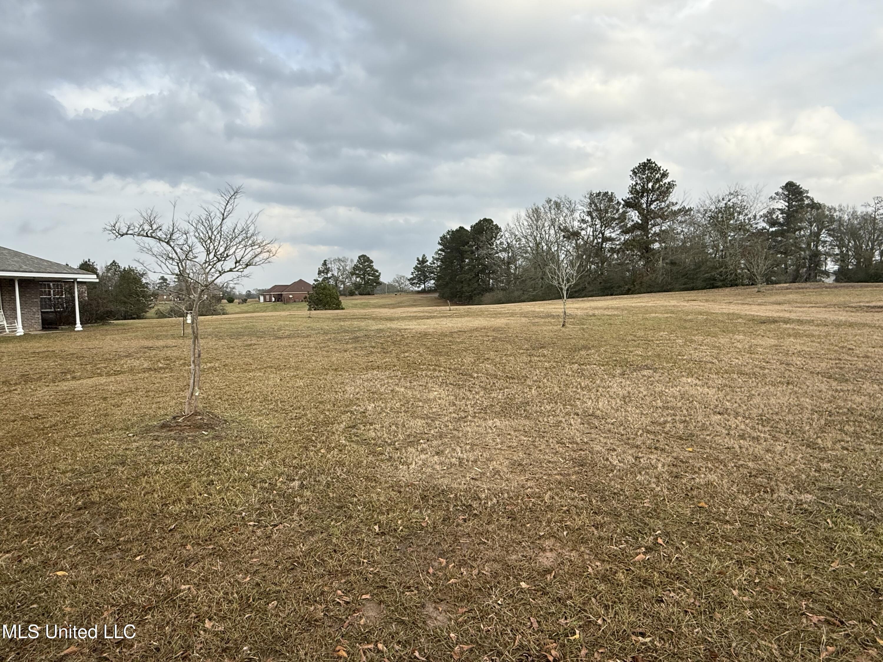 385 Pine Grove Rd Road, Magee, Mississippi image 11