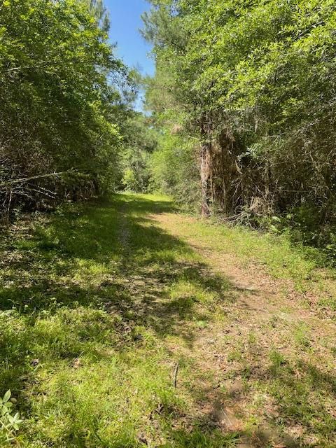 Vacant Land For Sale - Tom Warner Road<br/> Tylertown, MS 39667