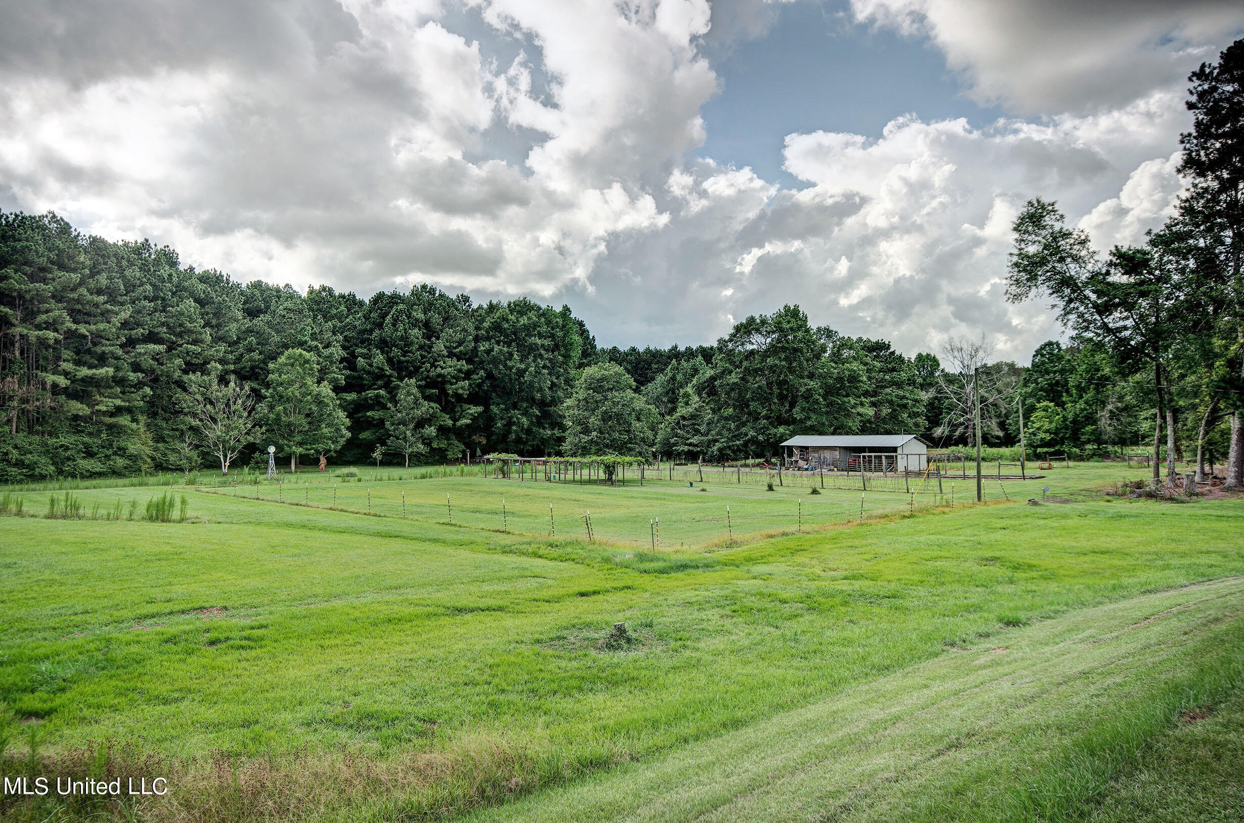 5174 Old Hillsboro Road, Forest, Mississippi image 33