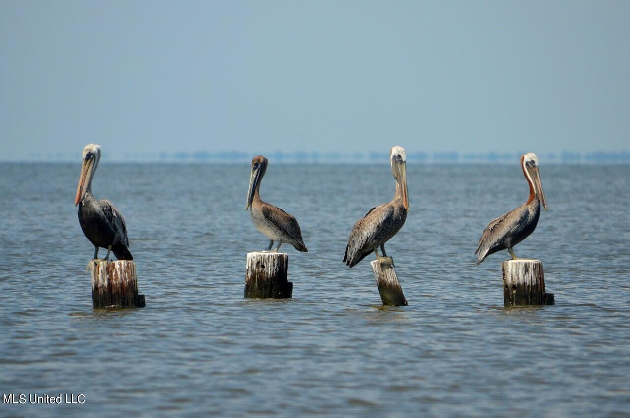 Pelican Cove Lane, Long Beach, Mississippi image 9