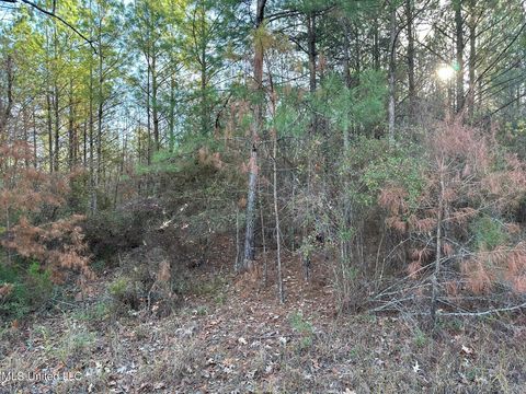 Vacant Land For Sale - 1048 Williamson Road<br/> Wesson, MS 39191
