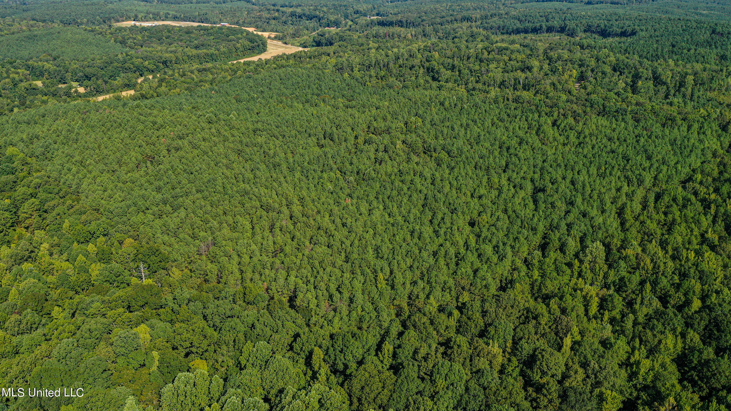 Hendrix Road, Coffeeville, Mississippi image 9