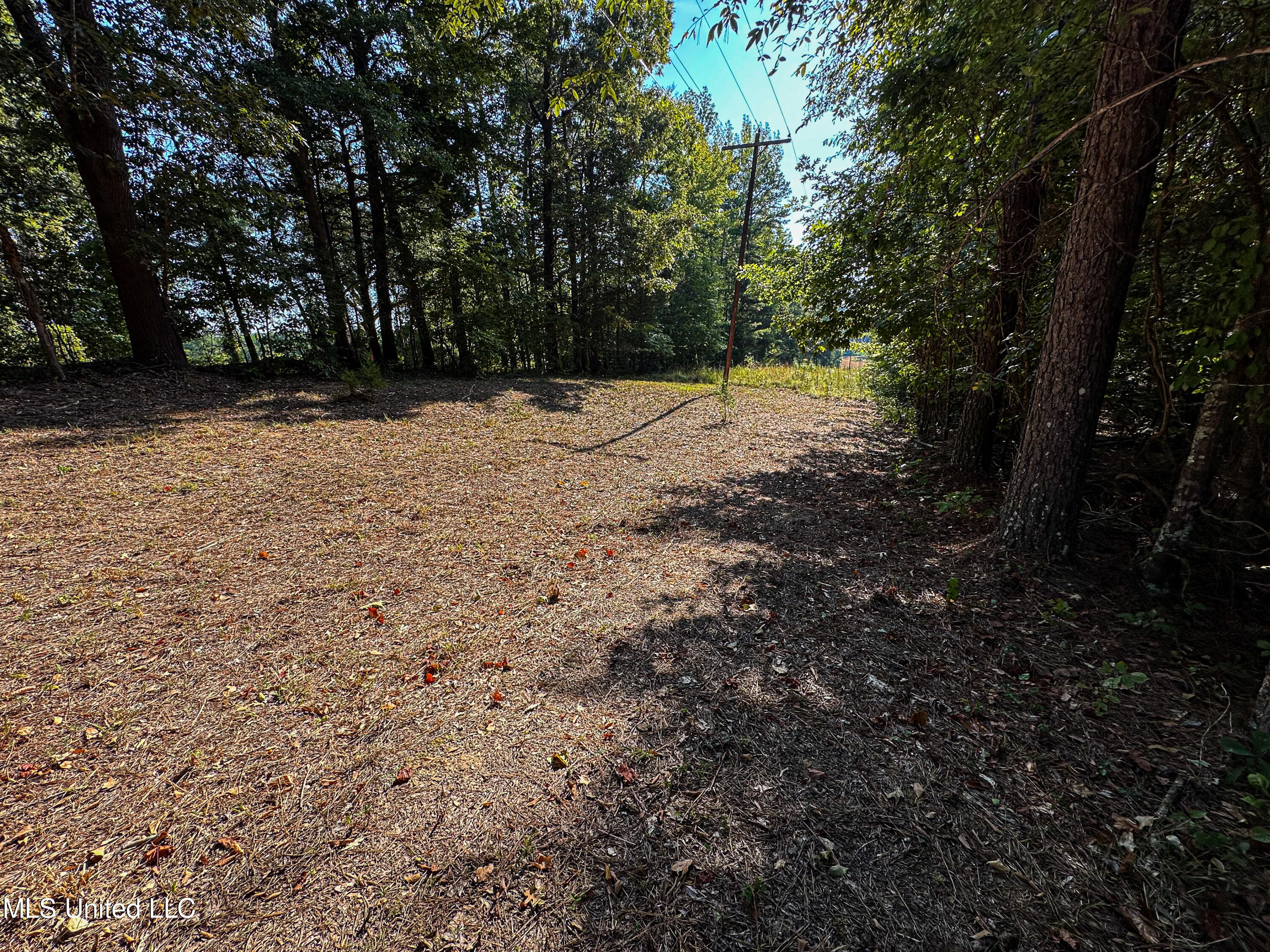 Hendrix Road, Coffeeville, Mississippi image 42