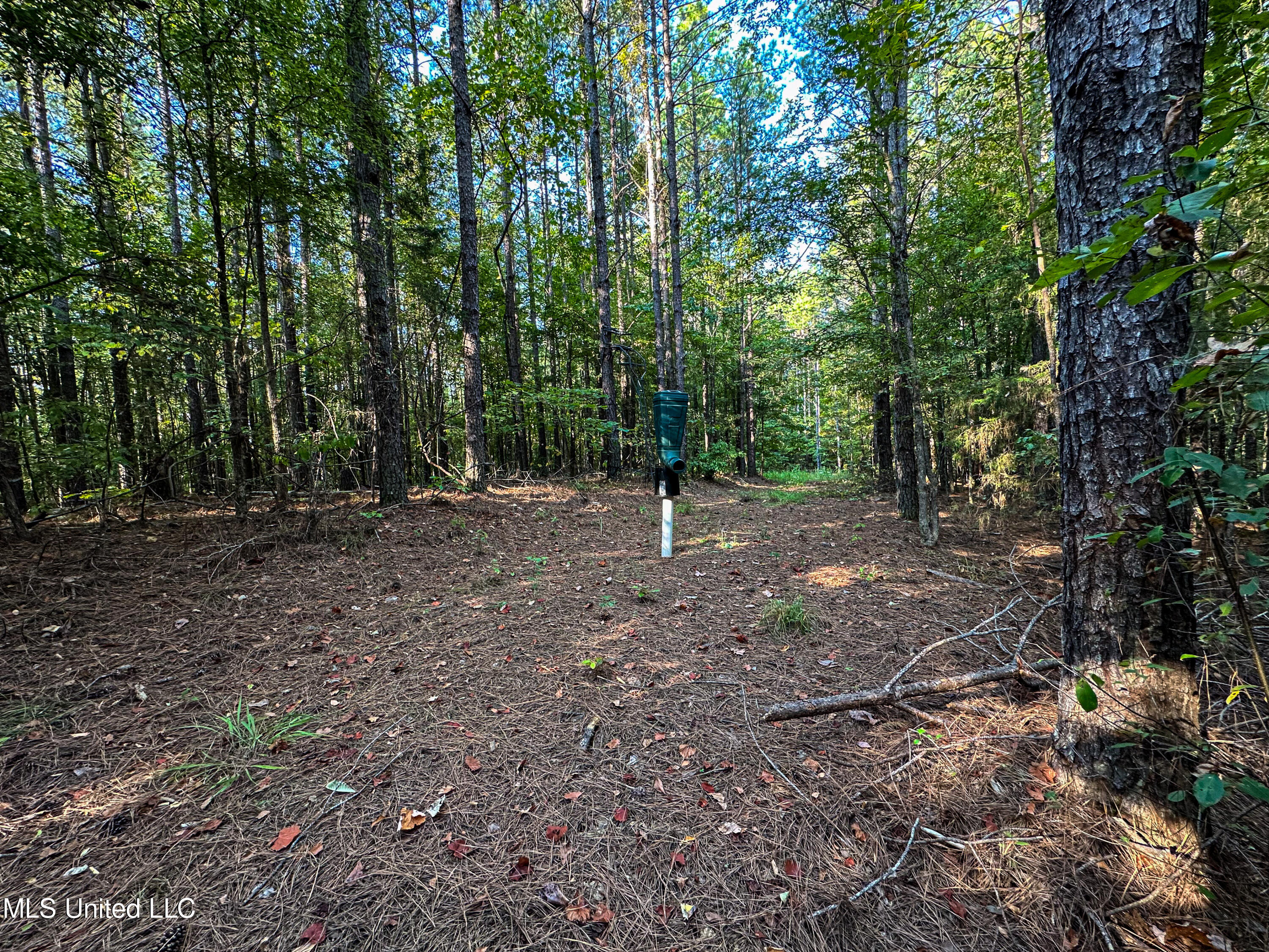 Hendrix Road, Coffeeville, Mississippi image 35