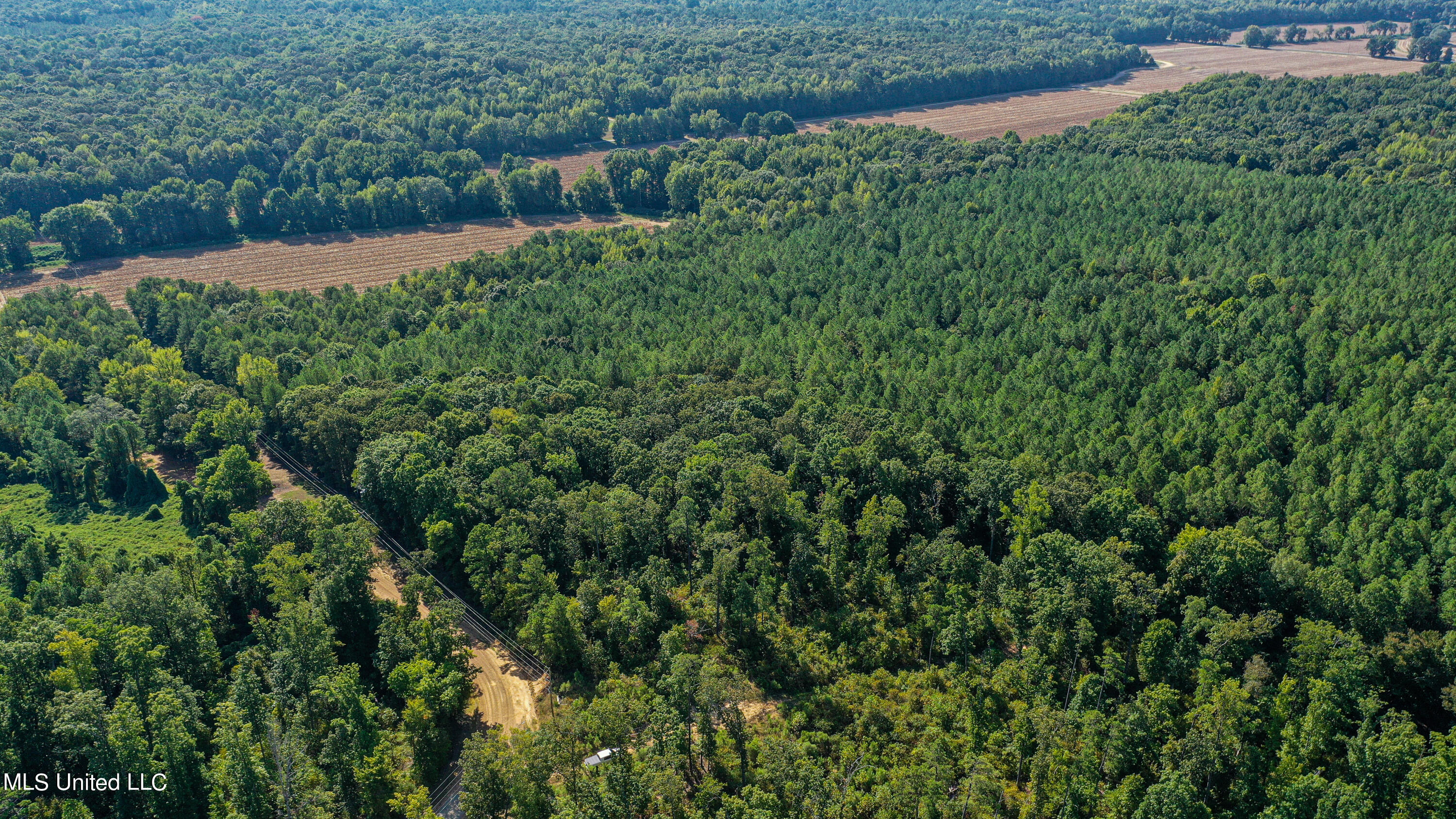 Hendrix Road, Coffeeville, Mississippi image 19