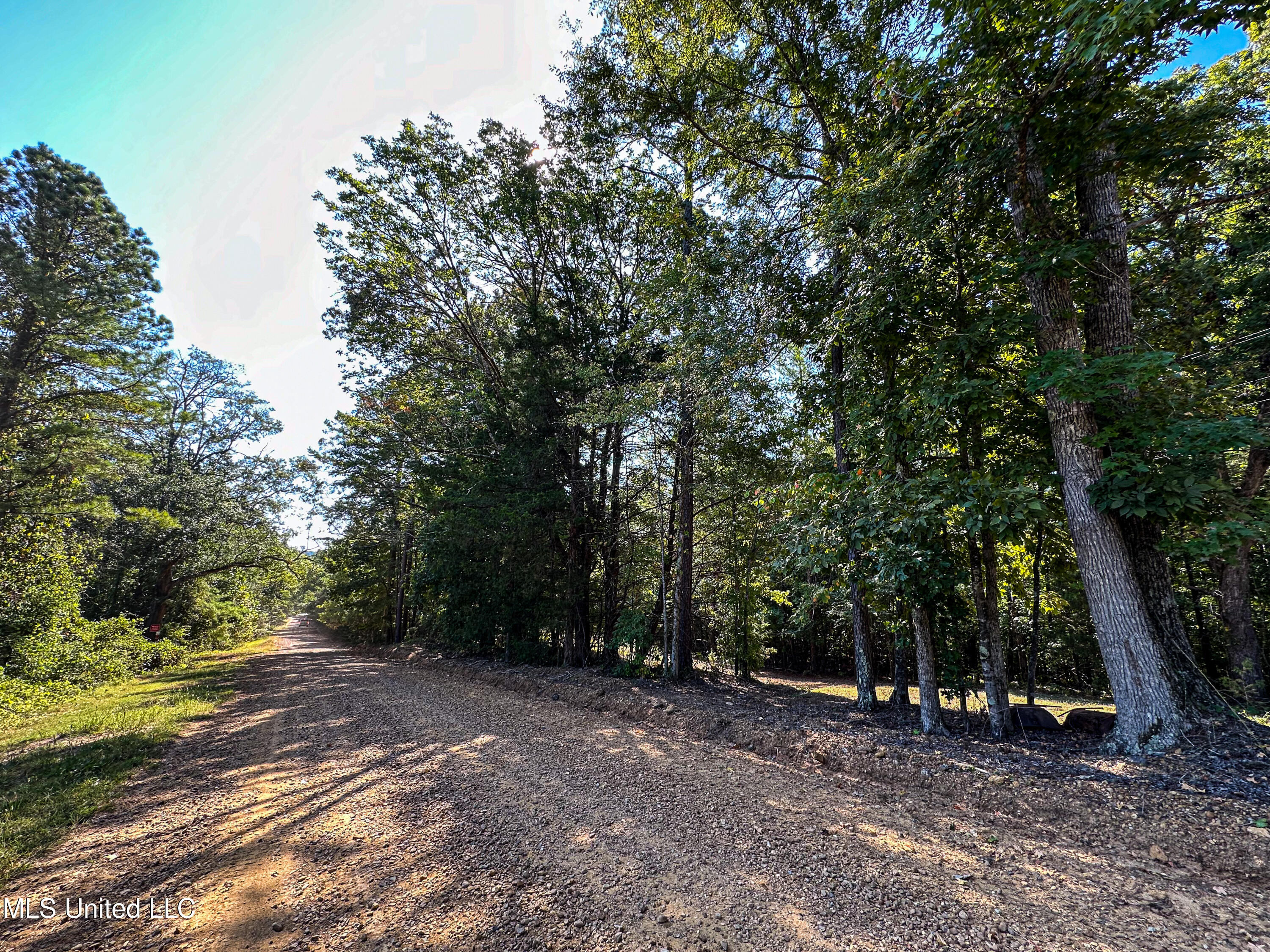 Hendrix Road, Coffeeville, Mississippi image 44