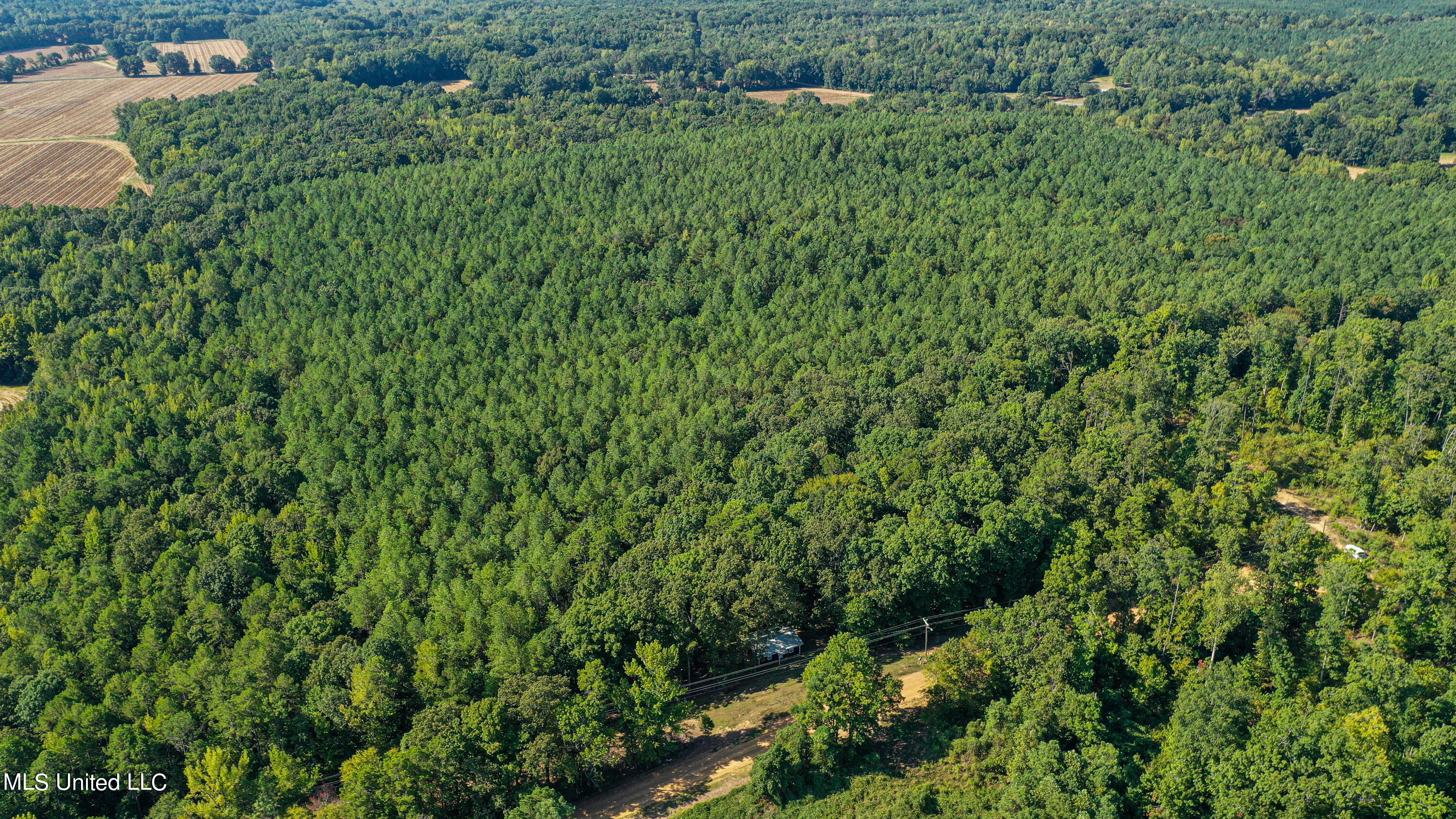 Hendrix Road, Coffeeville, Mississippi image 1