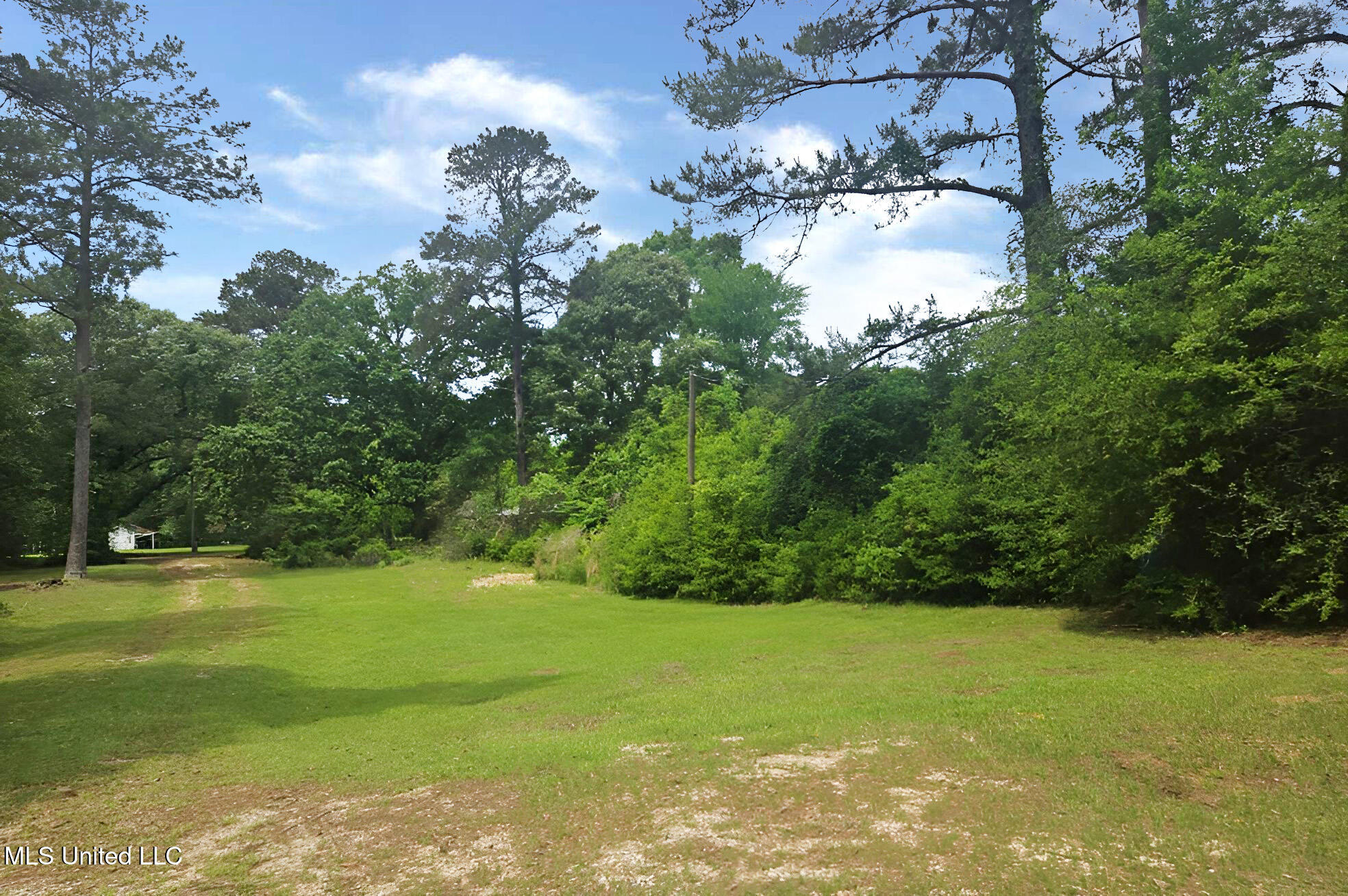 1124 J J Carter Road, Magnolia, Mississippi image 2
