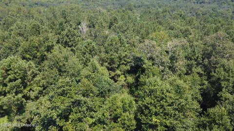 Vacant Land For Sale - 31052 Pearson Cemetary Road<br/> Carriere, MS 39426