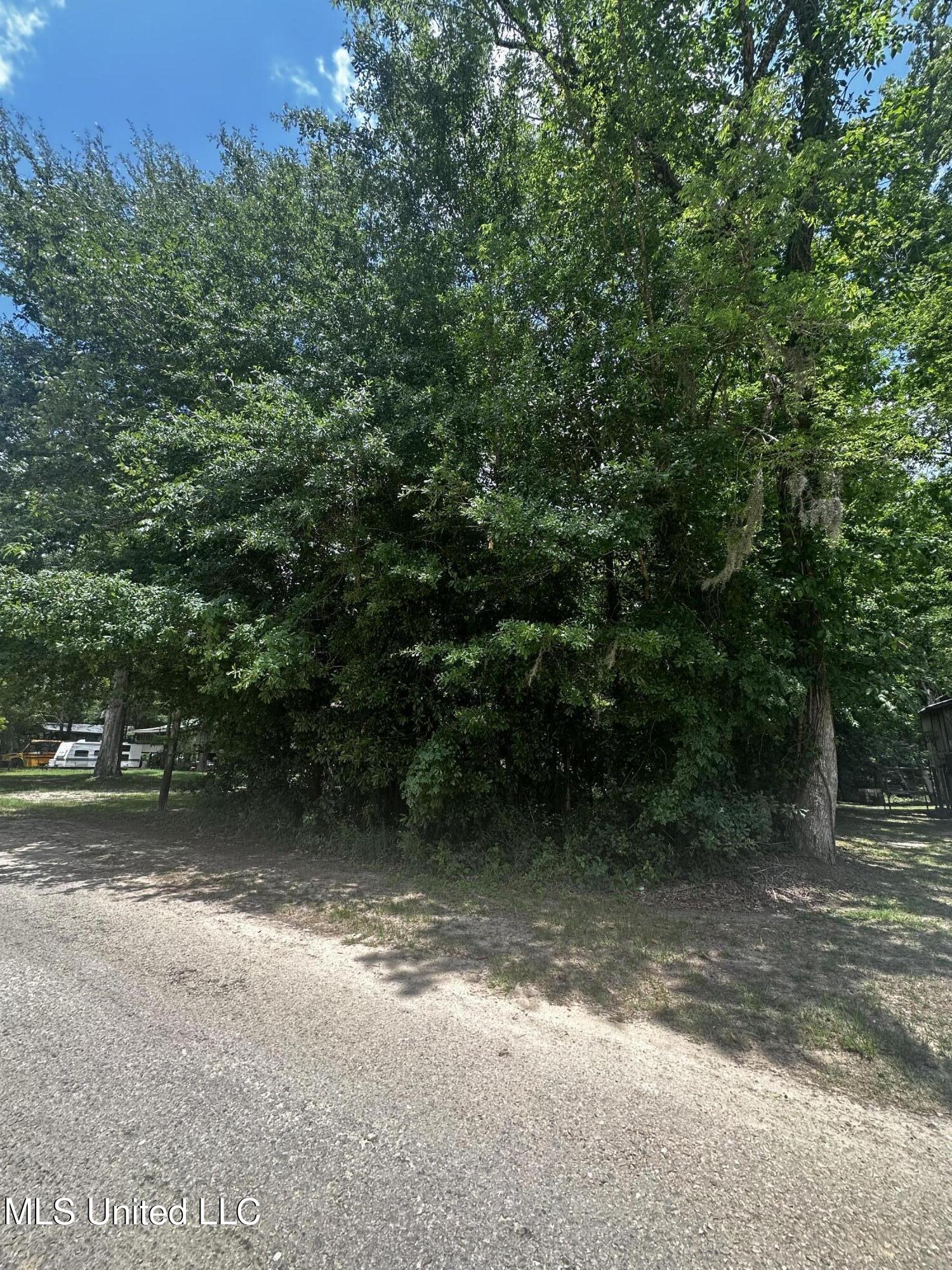 Nsn Plum Bluff Drive, Lucedale, Mississippi image 2