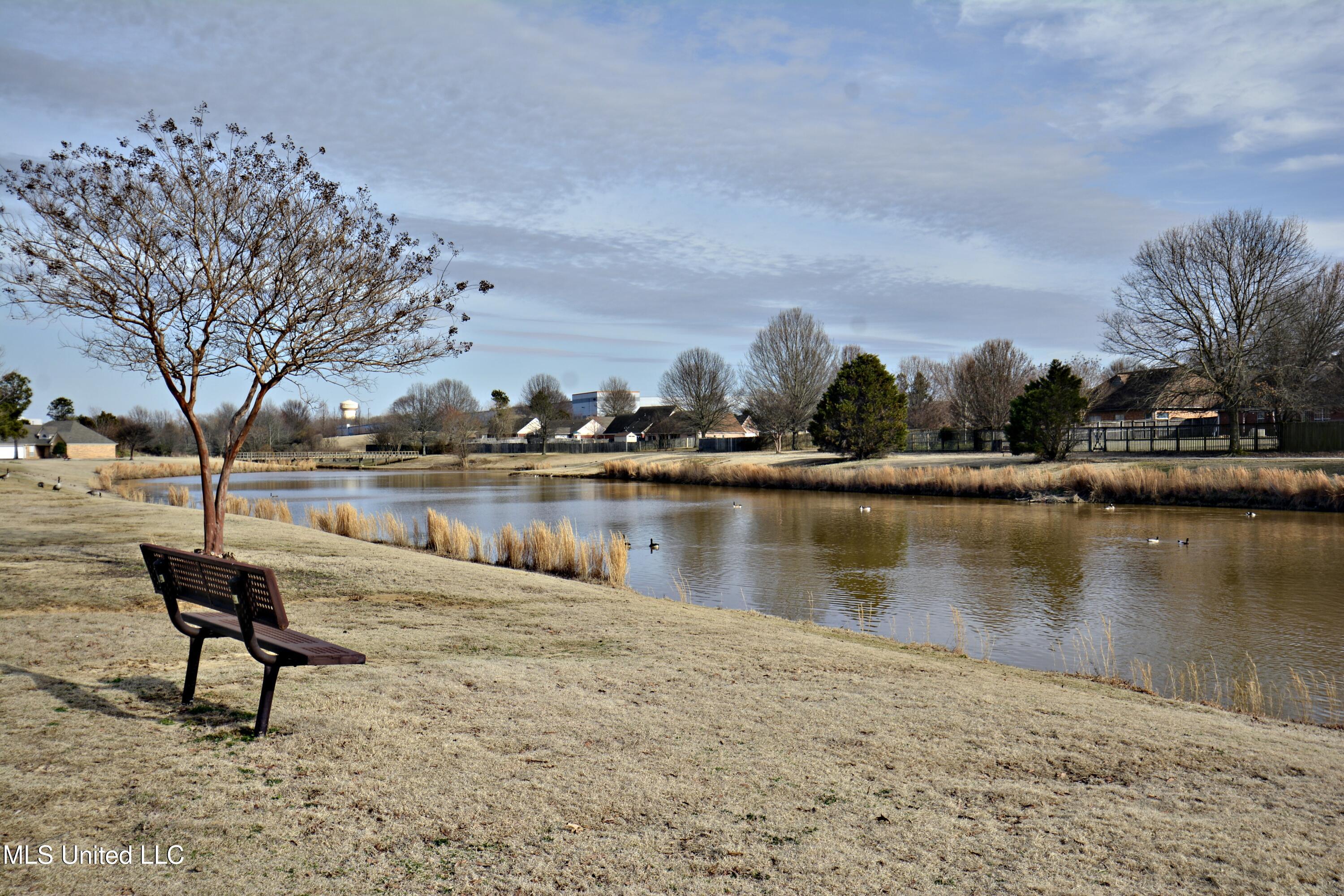 5207 Sweetwater Drive, Southaven, Mississippi image 26