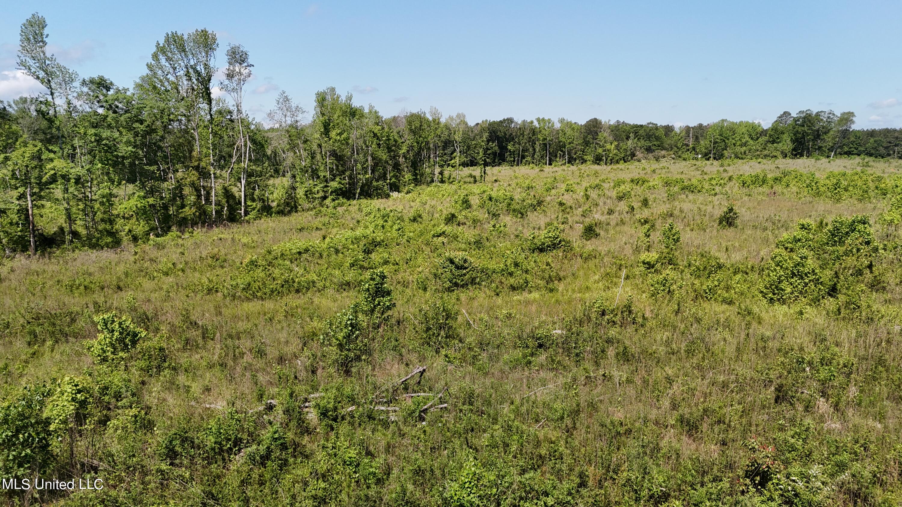 Harrison Road, Forest, Mississippi image 6