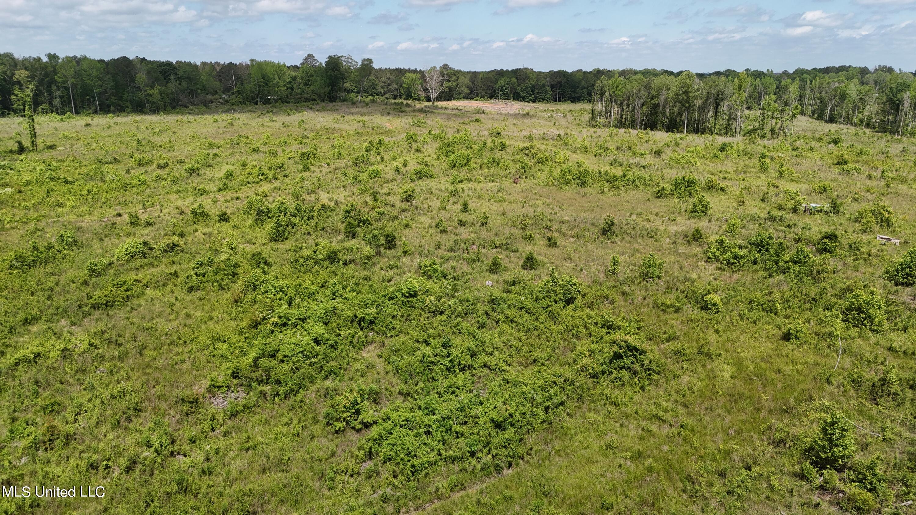 Harrison Road, Forest, Mississippi image 17