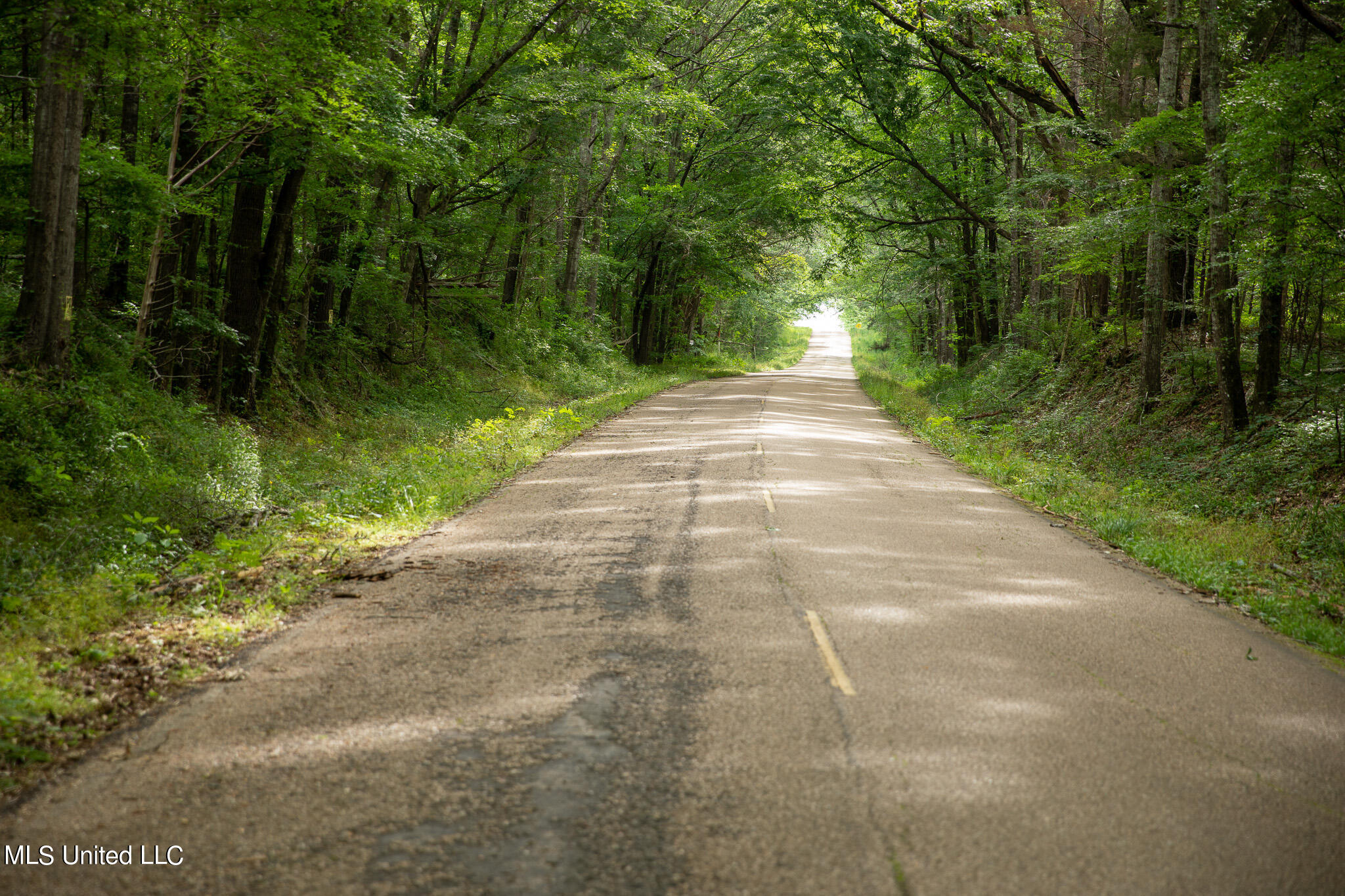 Pardue Rd Road, Raymond, Mississippi image 48