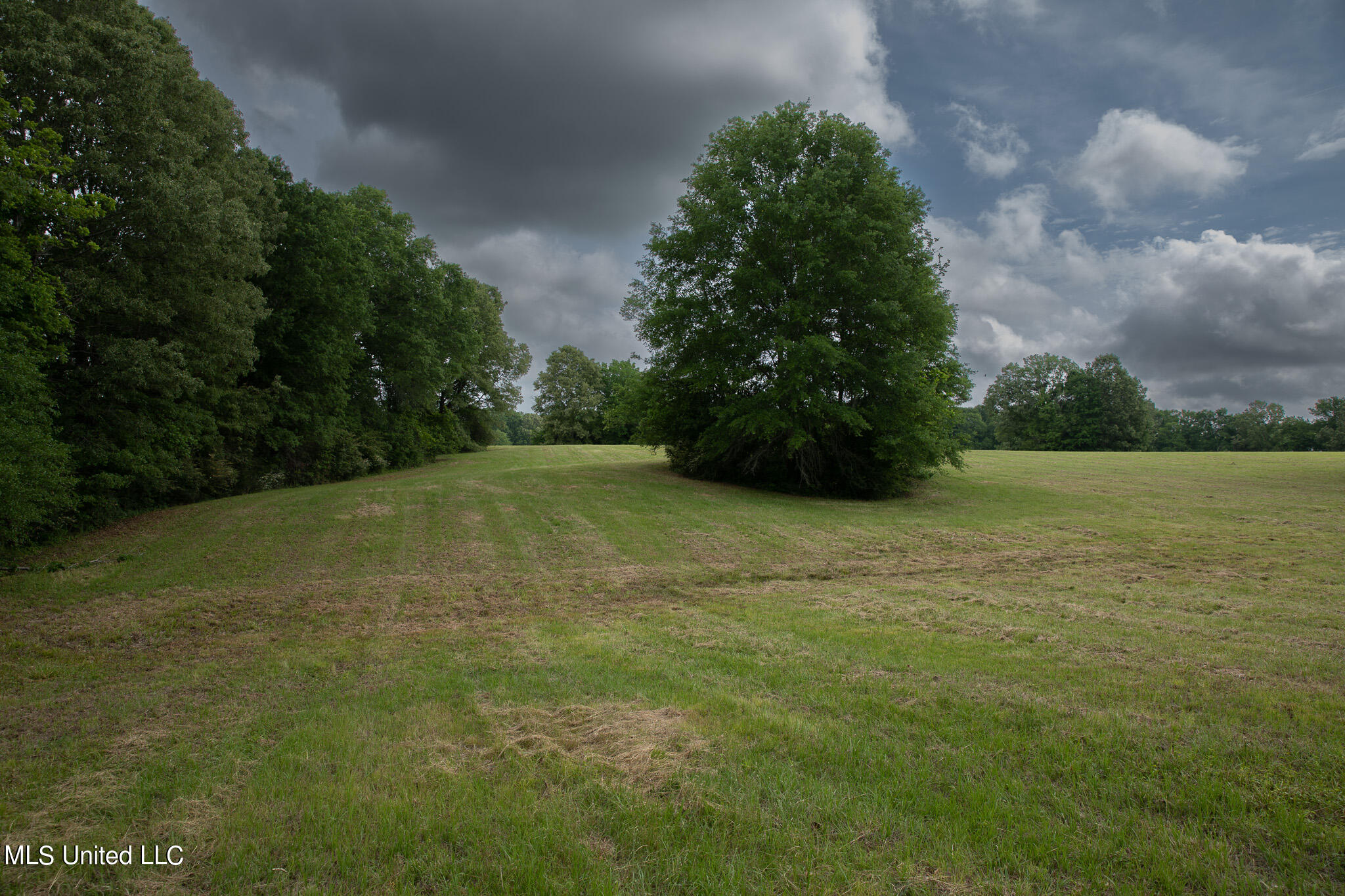 Pardue Rd Road, Raymond, Mississippi image 20