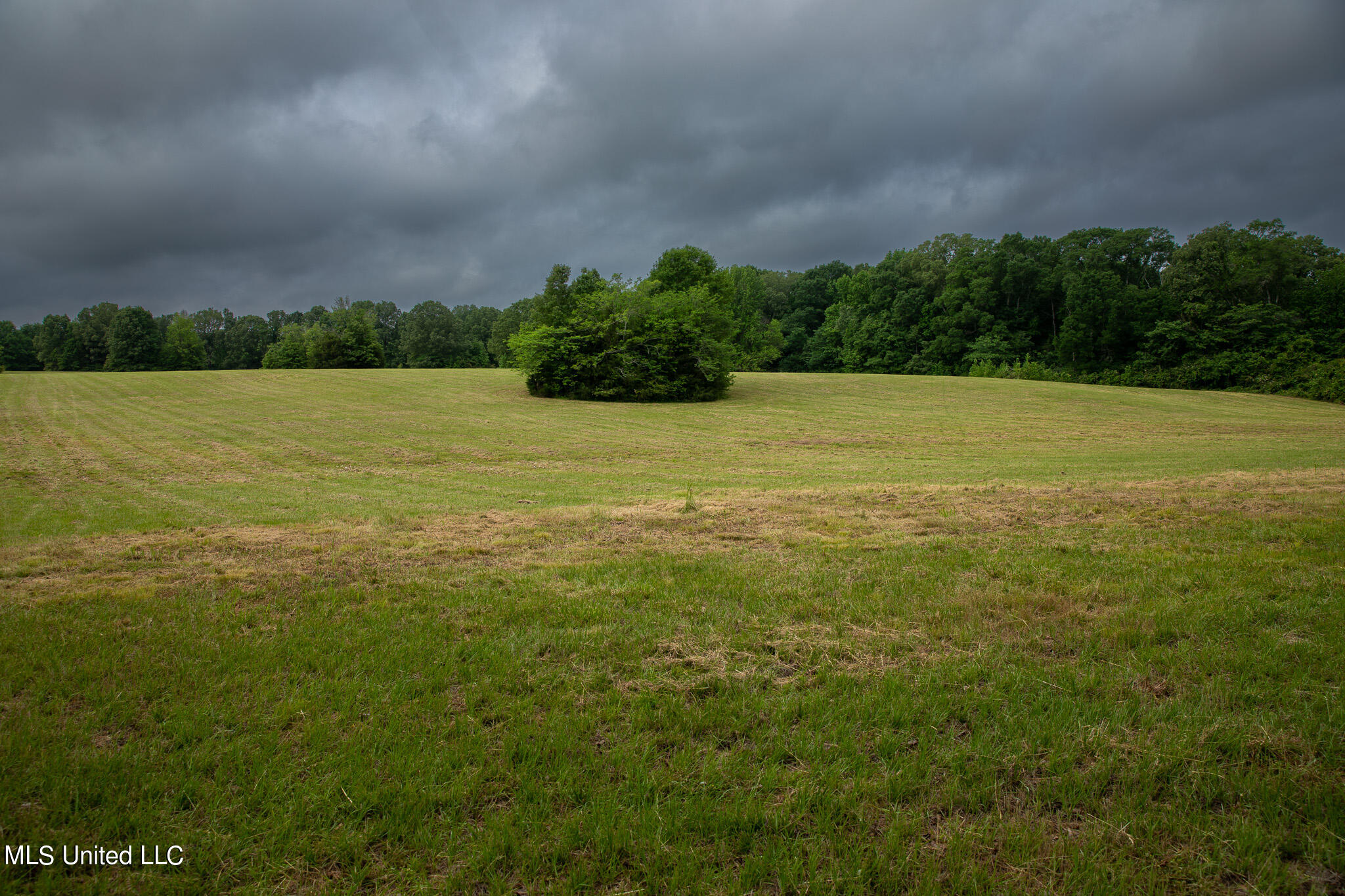 Pardue Rd Road, Raymond, Mississippi image 49