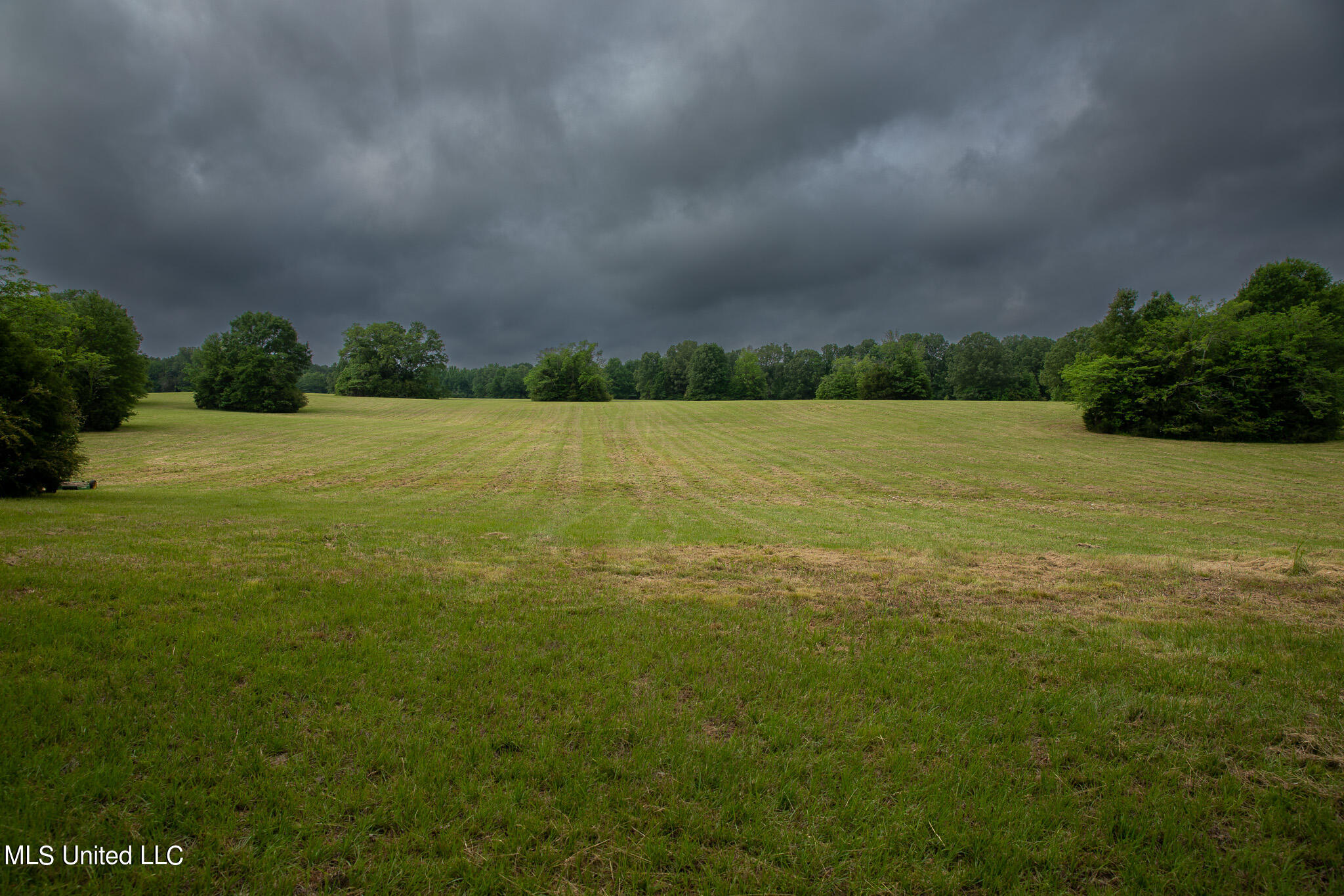 Pardue Rd Road, Raymond, Mississippi image 34