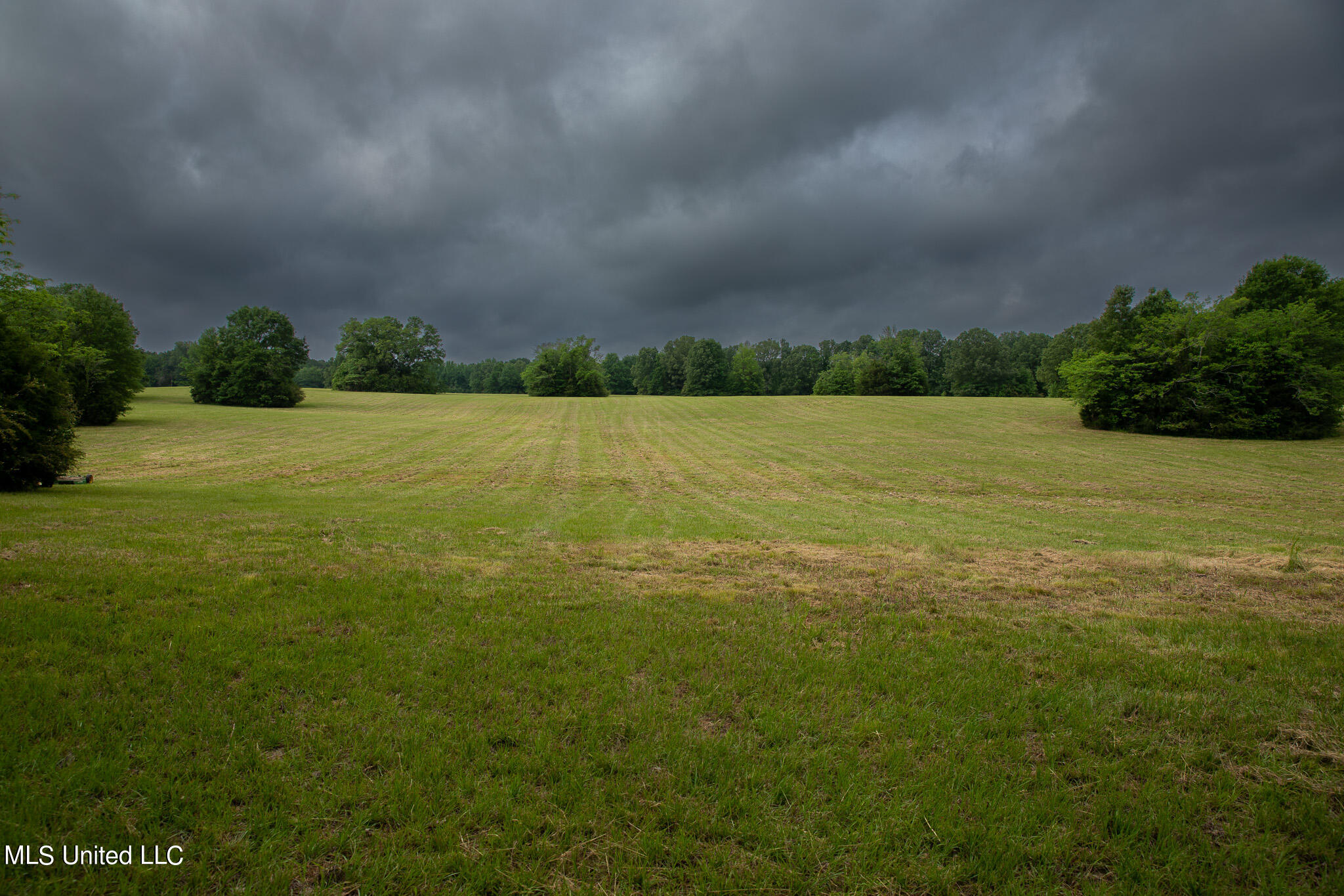 Pardue Rd Road, Raymond, Mississippi image 36