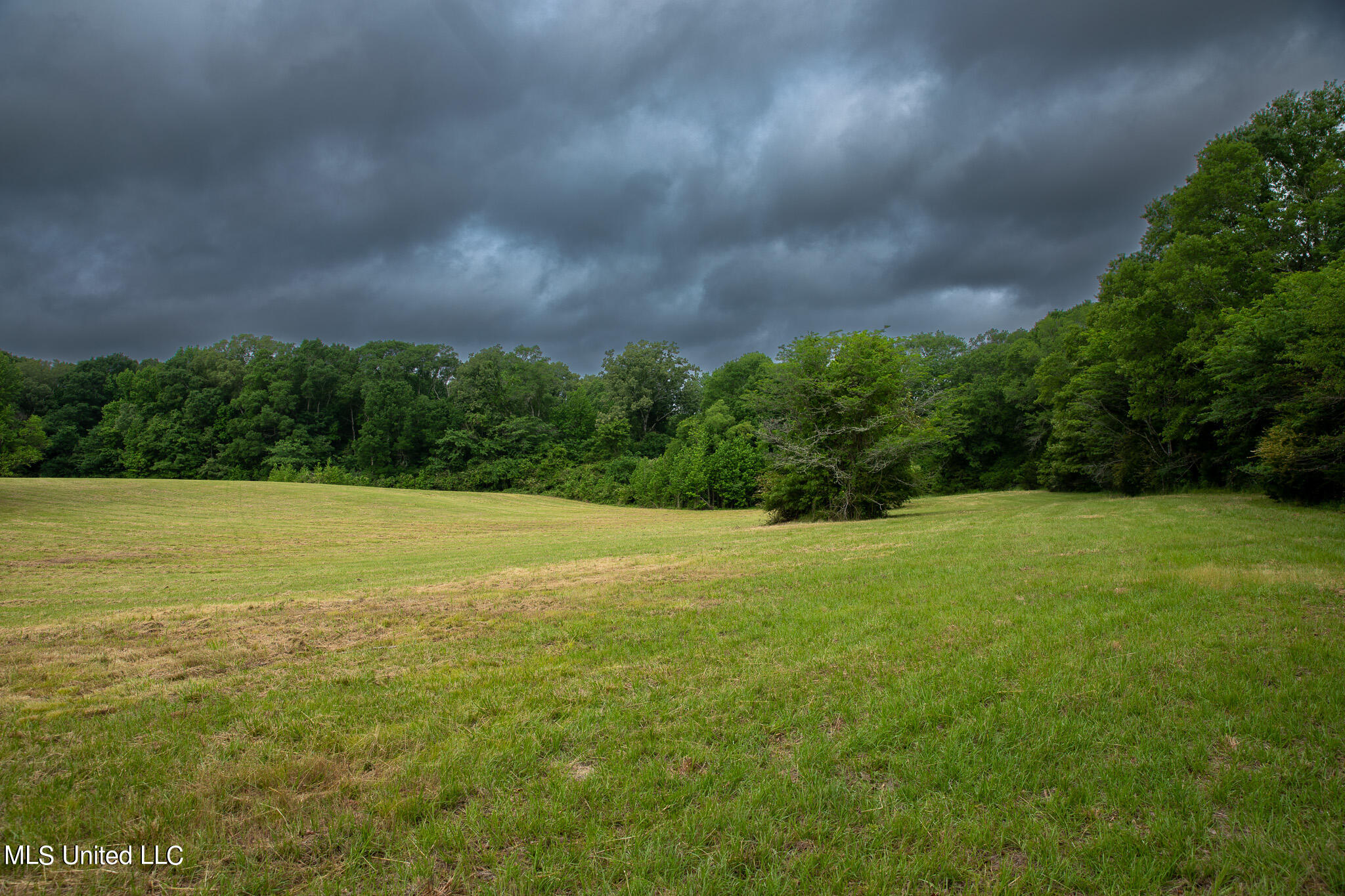 Pardue Rd Road, Raymond, Mississippi image 37