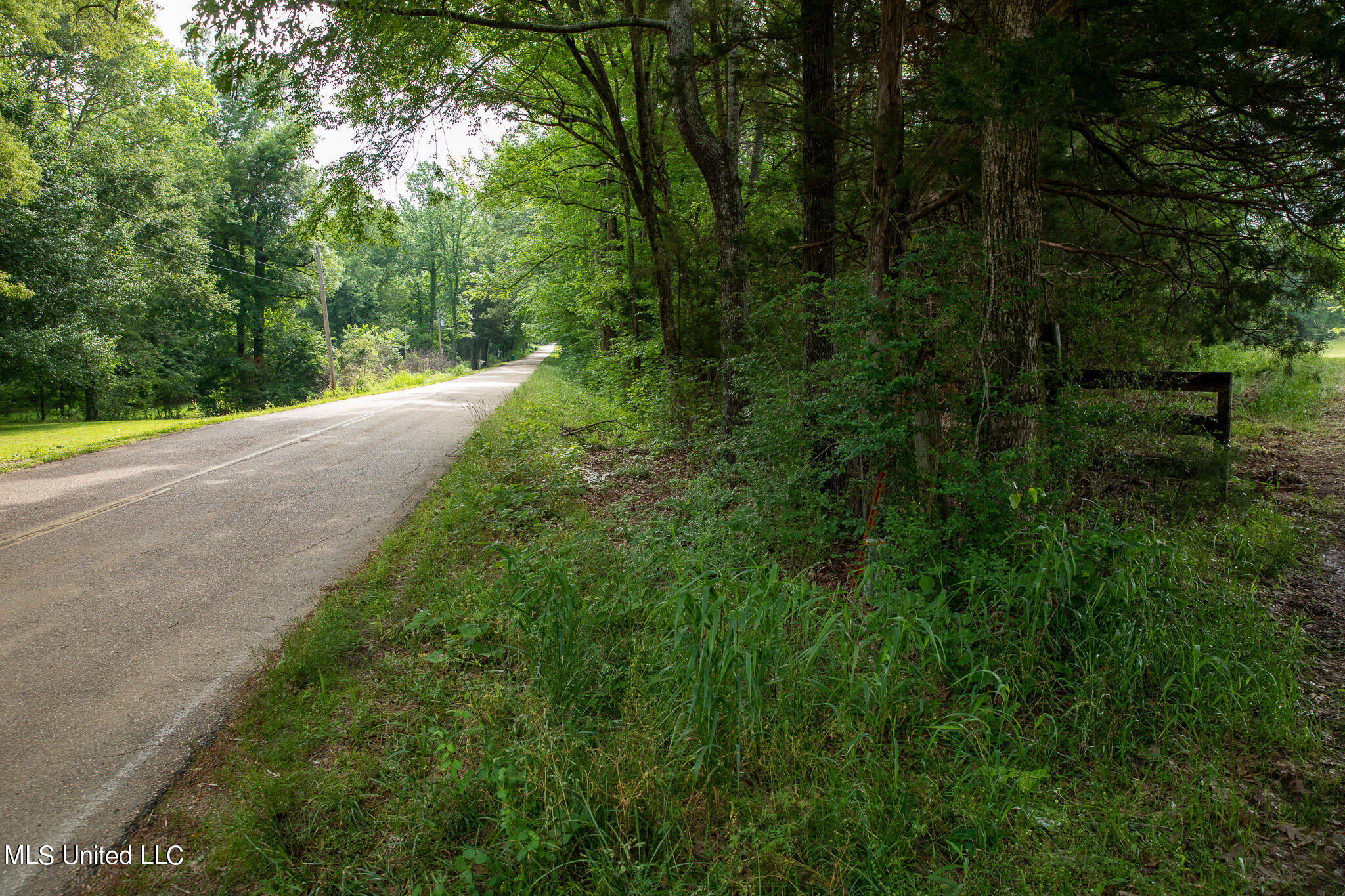 Pardue Rd Road, Raymond, Mississippi image 15