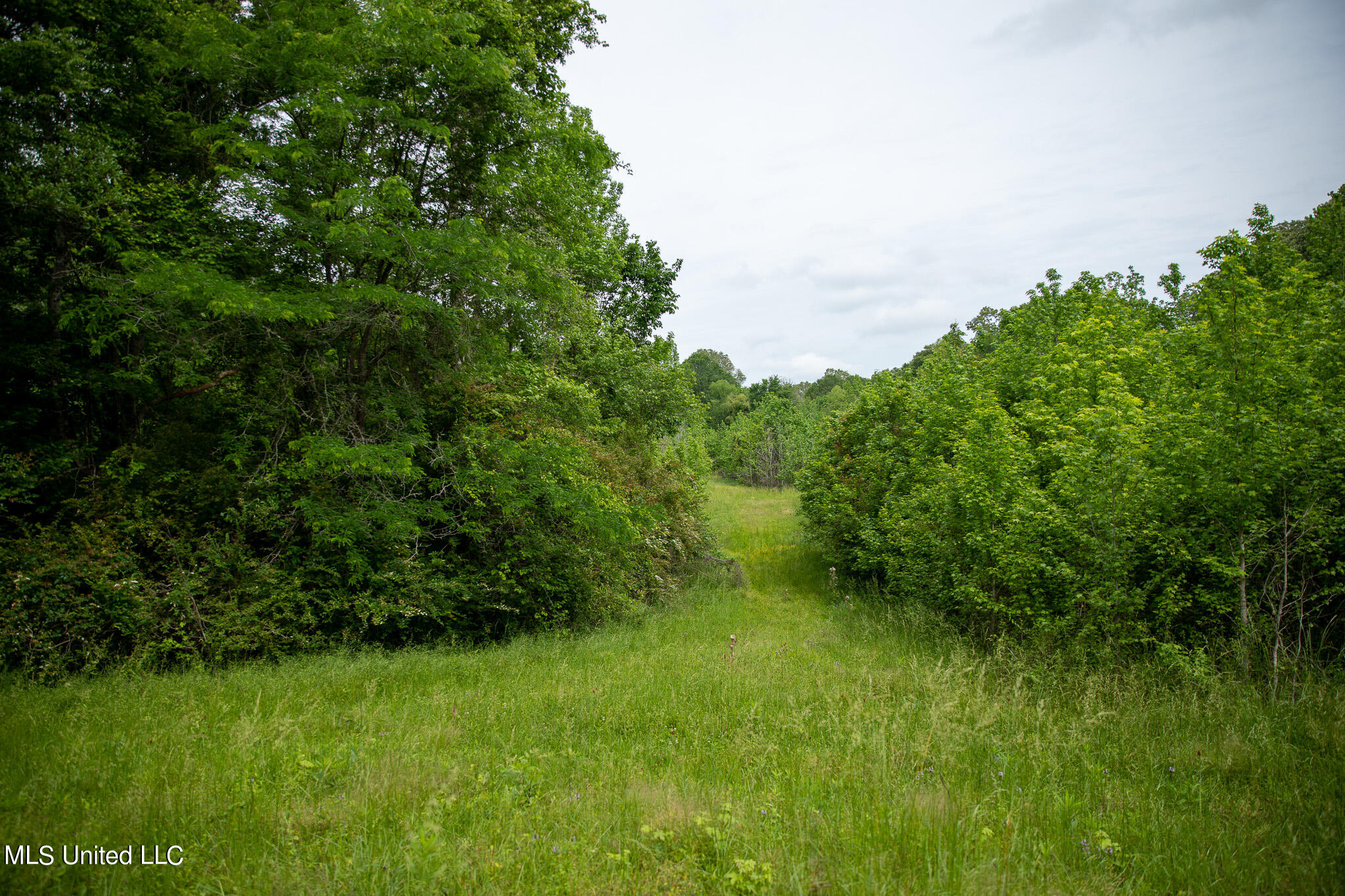 Pardue Rd Road, Raymond, Mississippi image 50