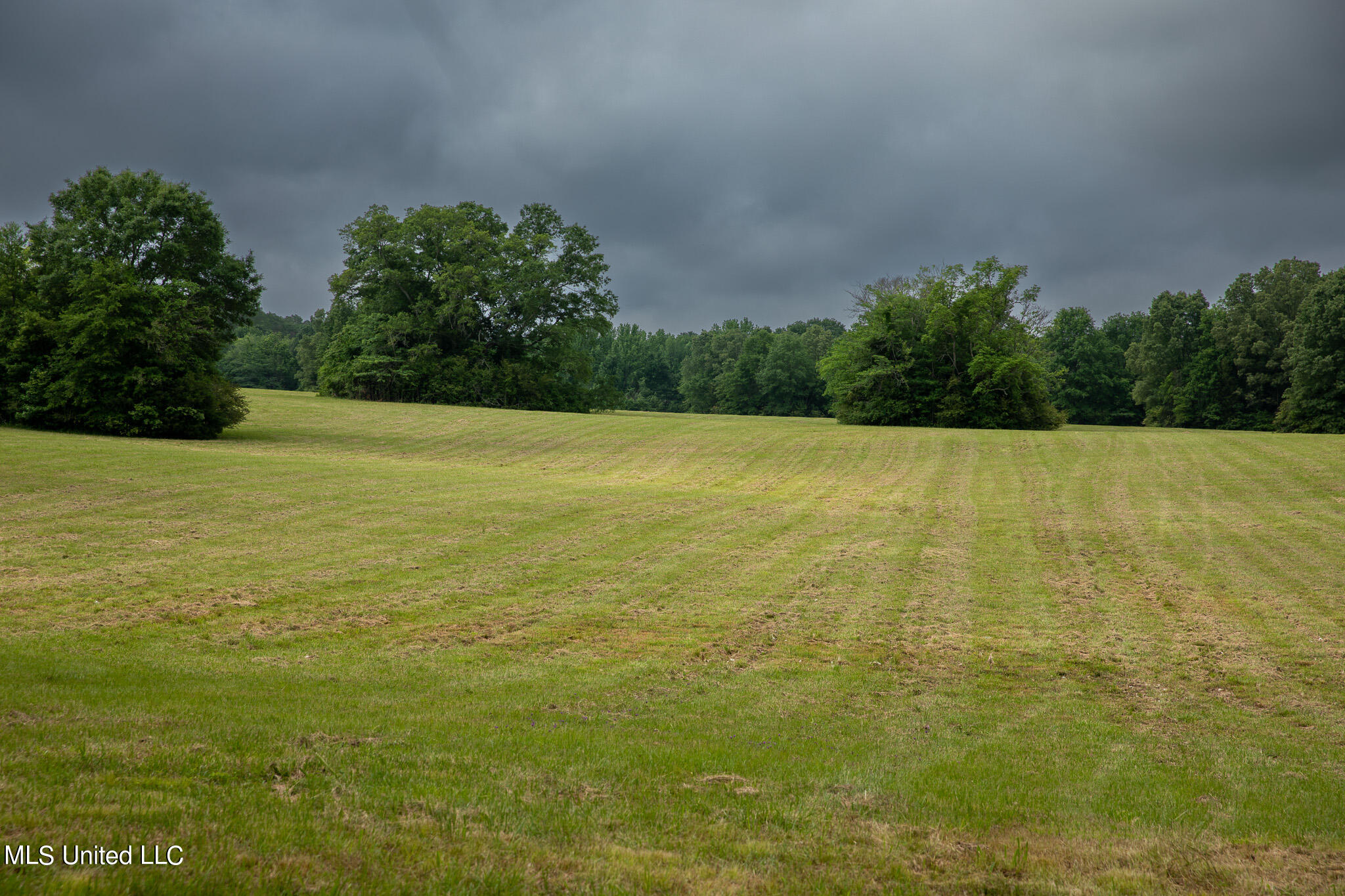 Pardue Rd Road, Raymond, Mississippi image 28