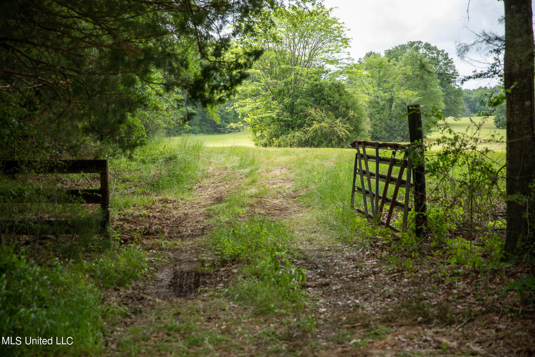 Pardue Rd Road, Raymond, Mississippi image 1