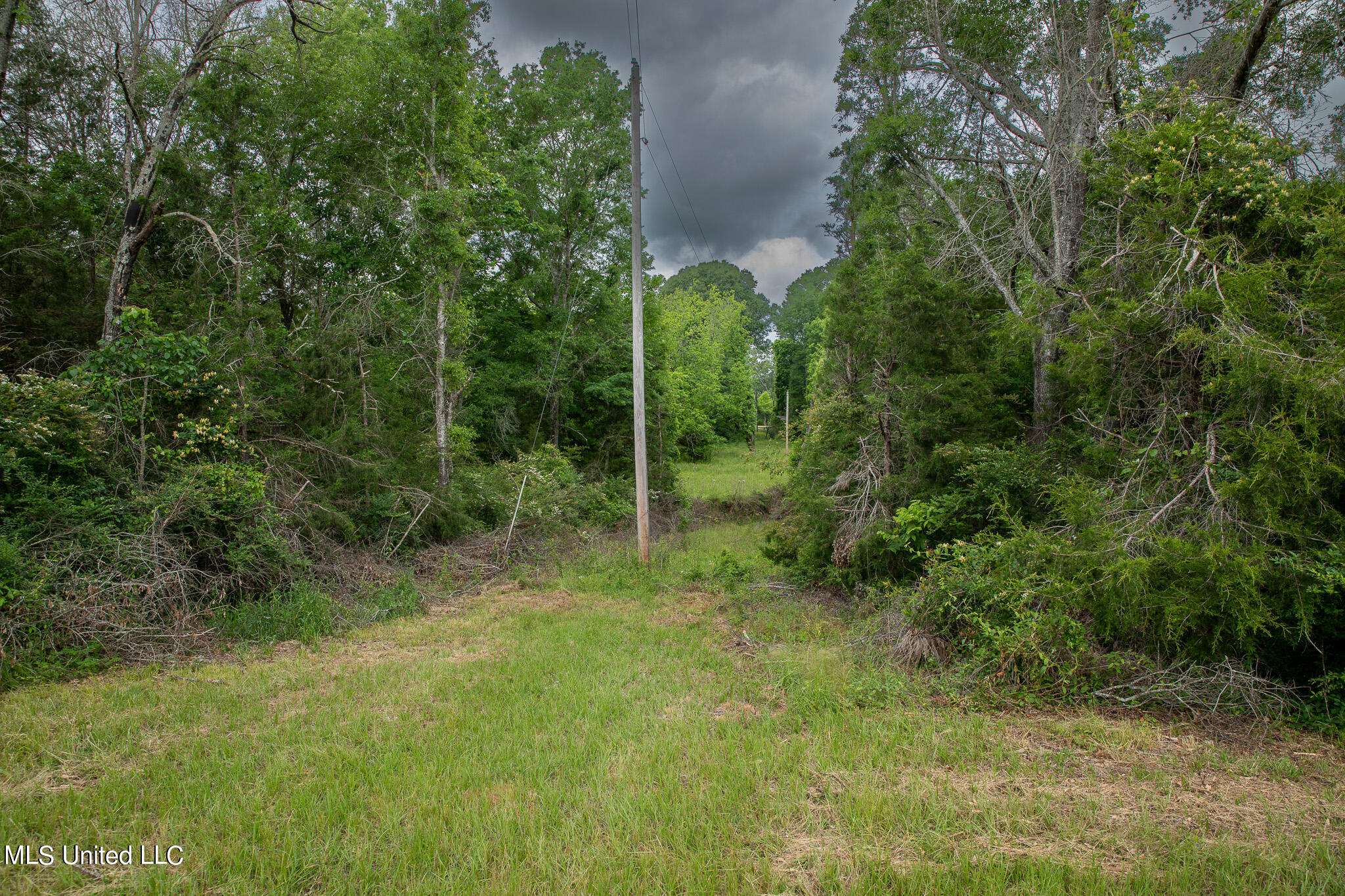 Pardue Rd Road, Raymond, Mississippi image 14