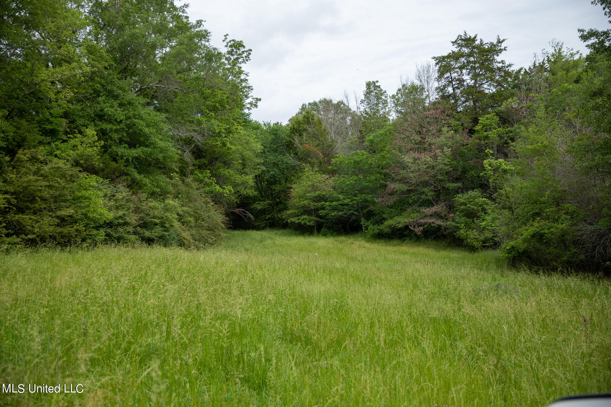 Pardue Rd Road, Raymond, Mississippi image 46