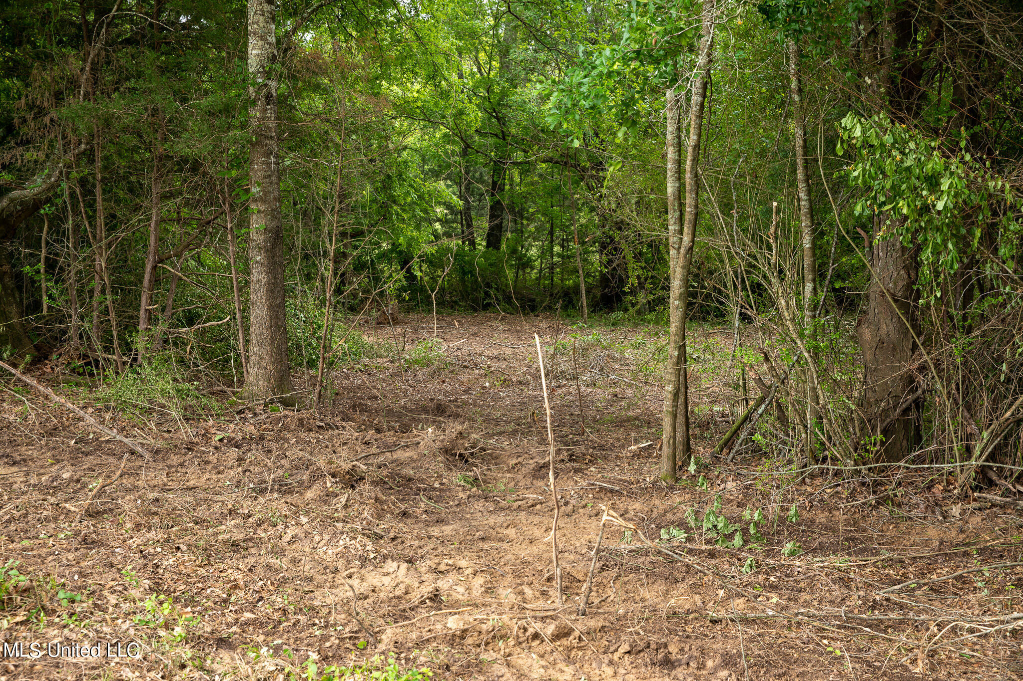 Pardue Rd Road, Raymond, Mississippi image 9