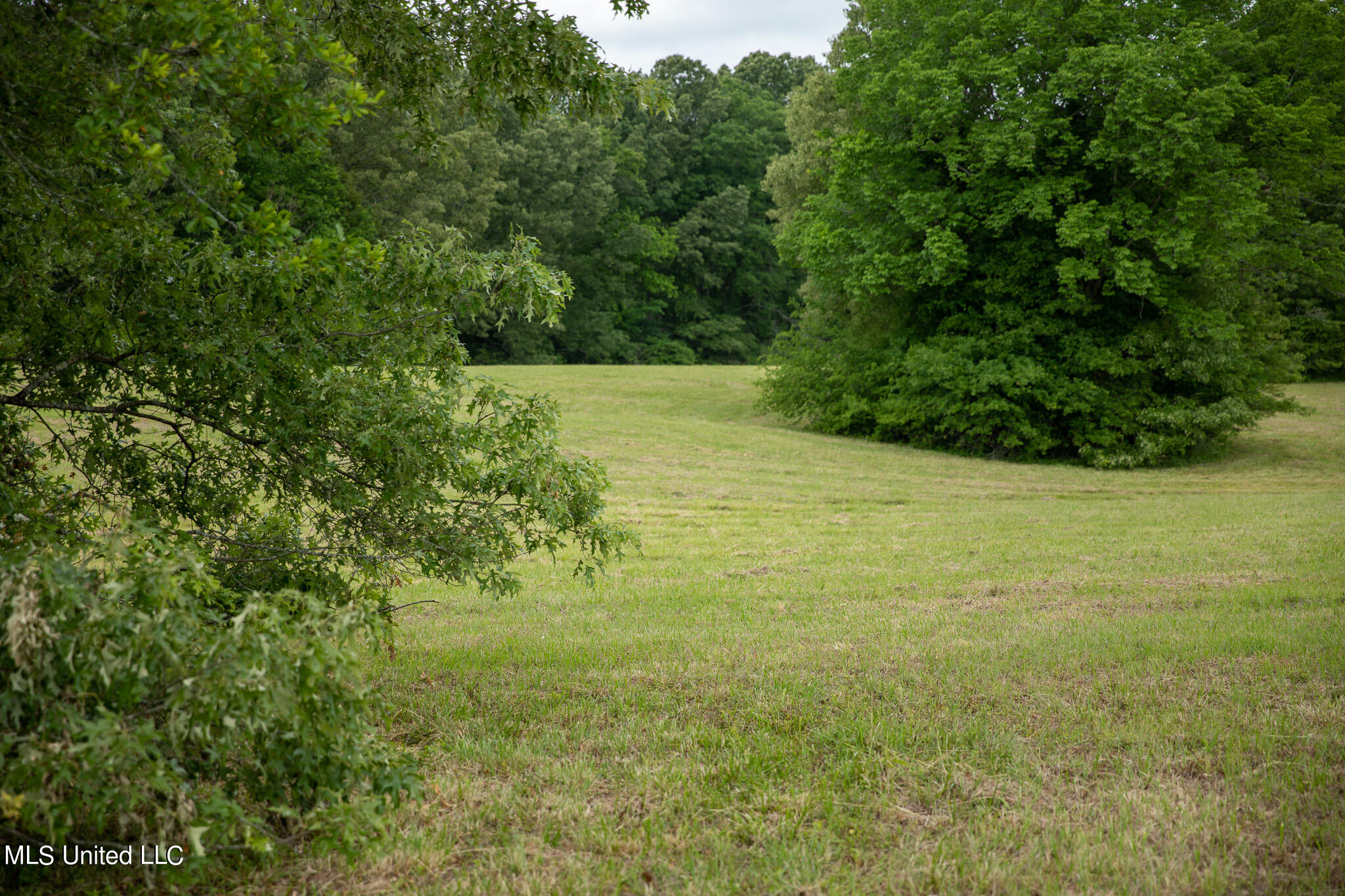 Pardue Rd Road, Raymond, Mississippi image 38