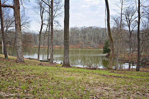 Vacant Land For Sale - 5360 Sportsman Drive<br/> Nesbit, MS 38651