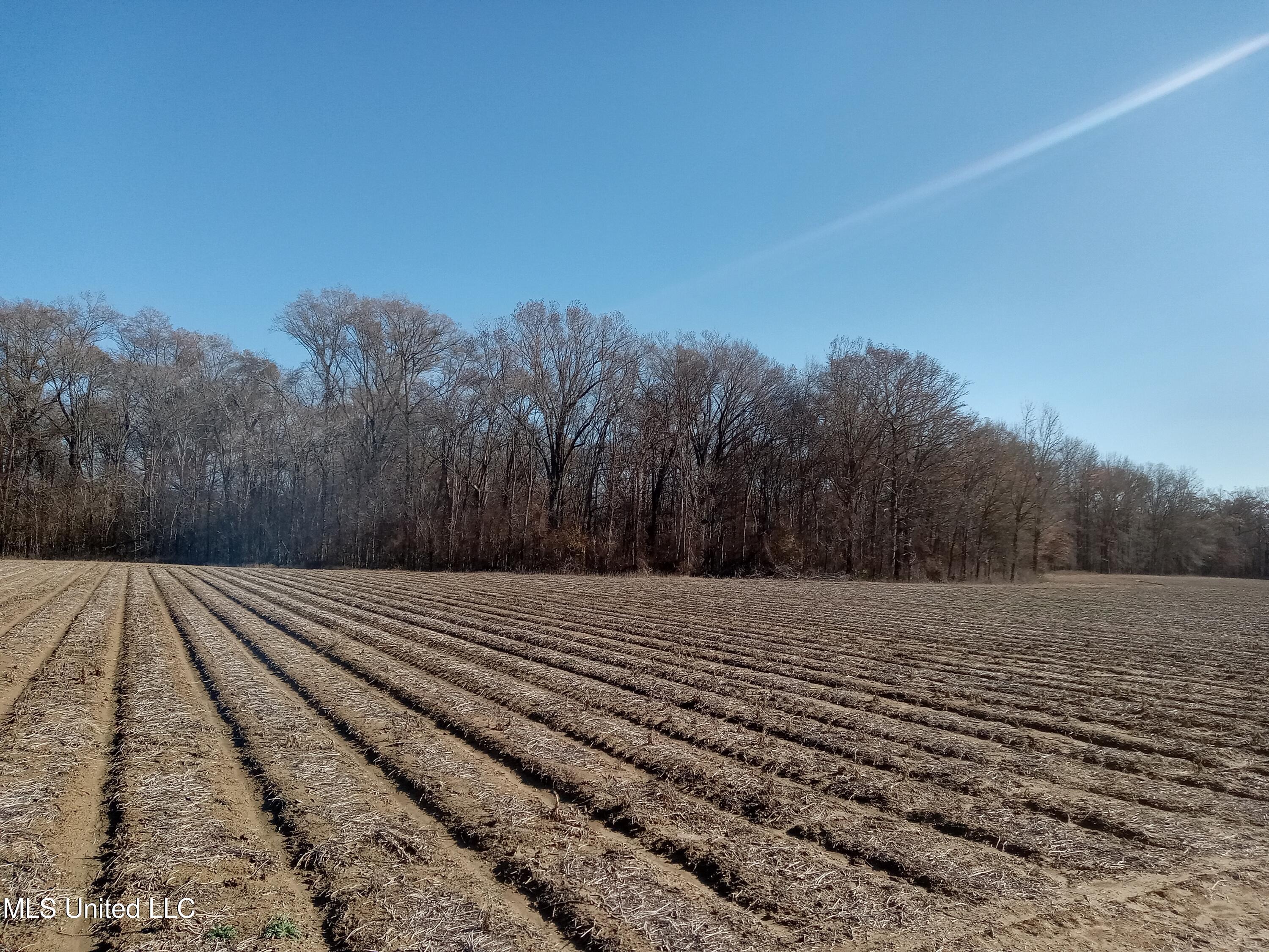 Kinlock Road, Indianola, Mississippi image 18