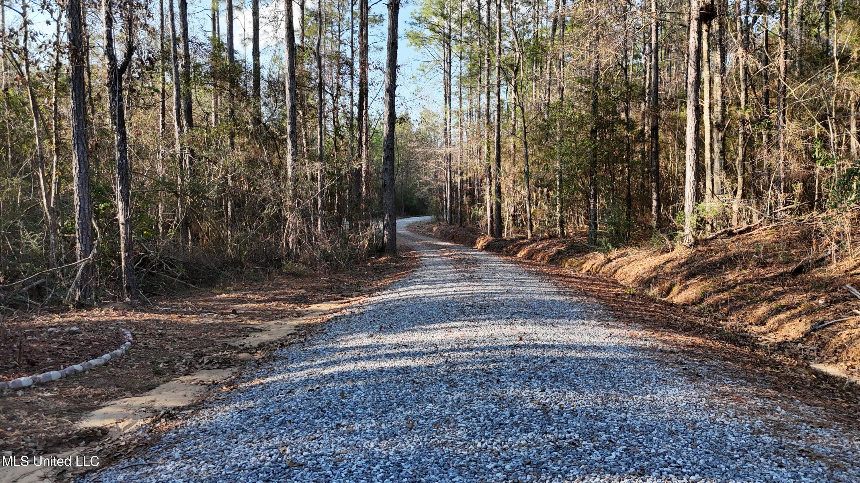 1773 Ridge Road, Perkinston, Mississippi image 26