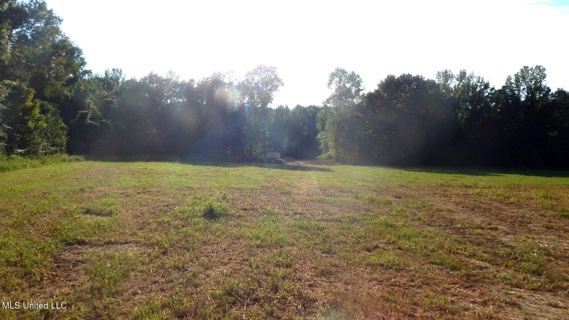 590 247 Country Road, Bruce, Mississippi image 32
