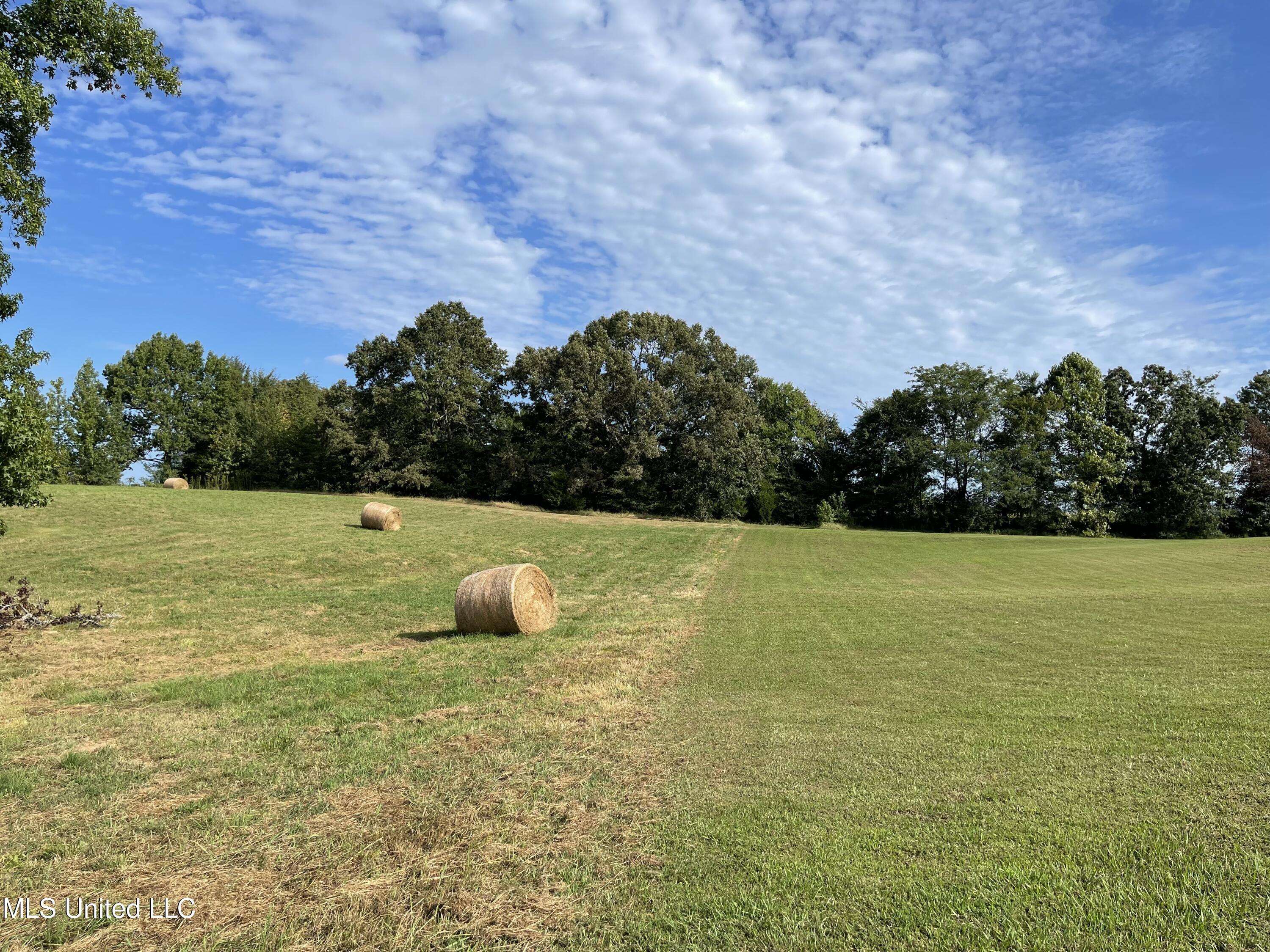 Lot 12 Autumn Oaks Drive, Lamar, Mississippi image 1