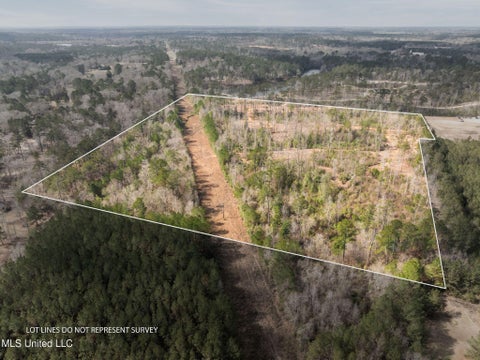 Vacant Land For Sale - 36.08 +/- Acres Placid Drive<br/> Sumrall, MS 39482