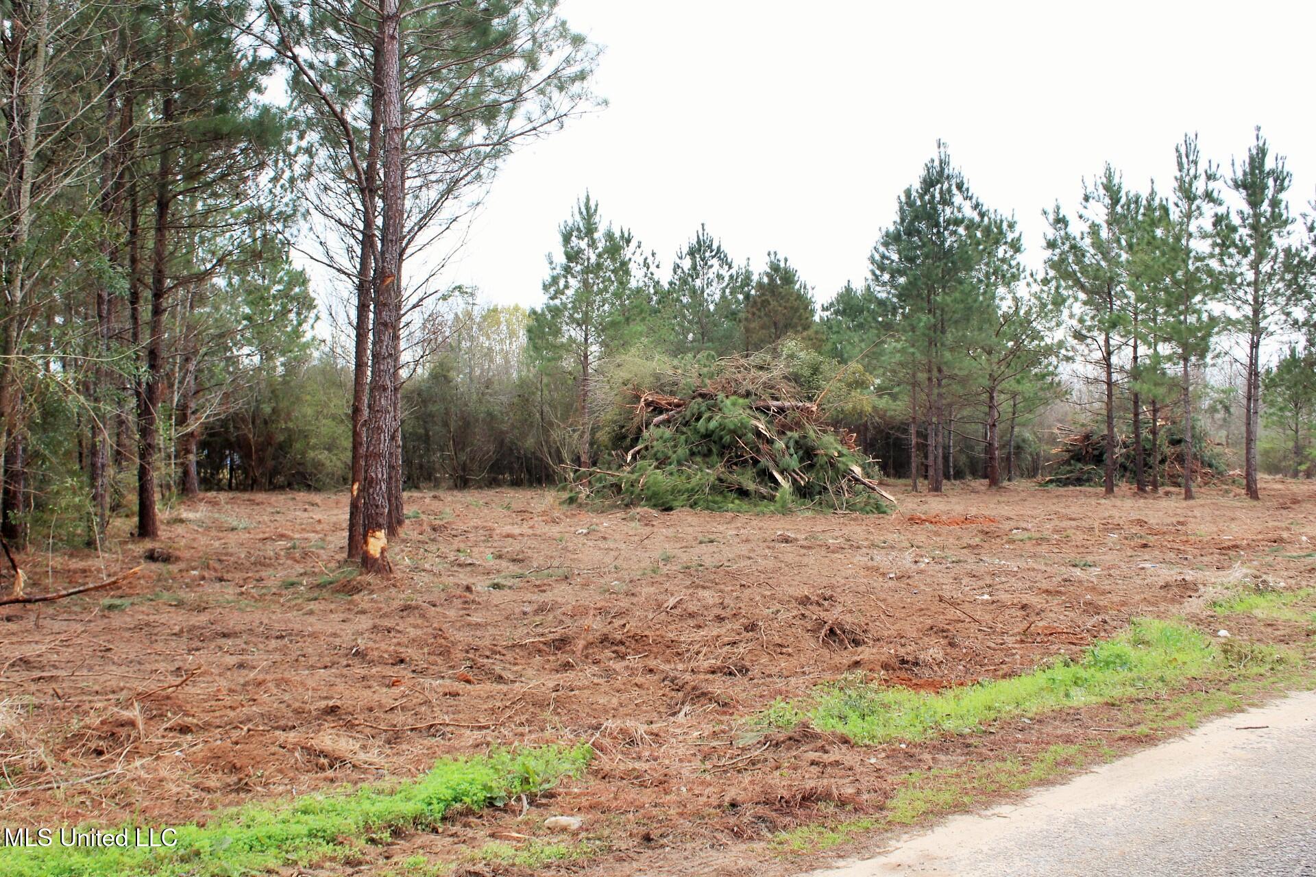 0.82ac Shannon Lane, Lucedale, Mississippi image 6