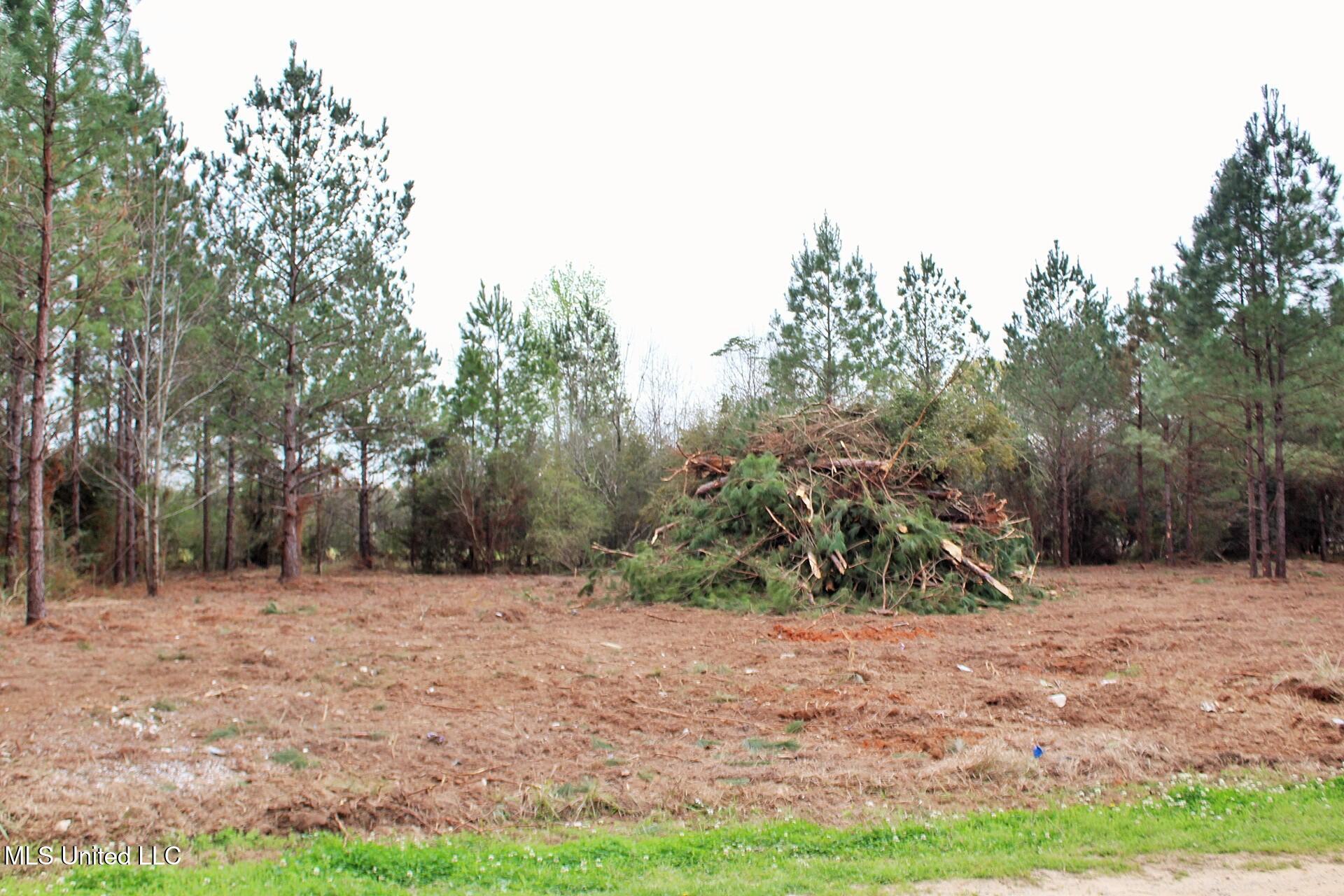 0.82ac Shannon Lane, Lucedale, Mississippi image 5