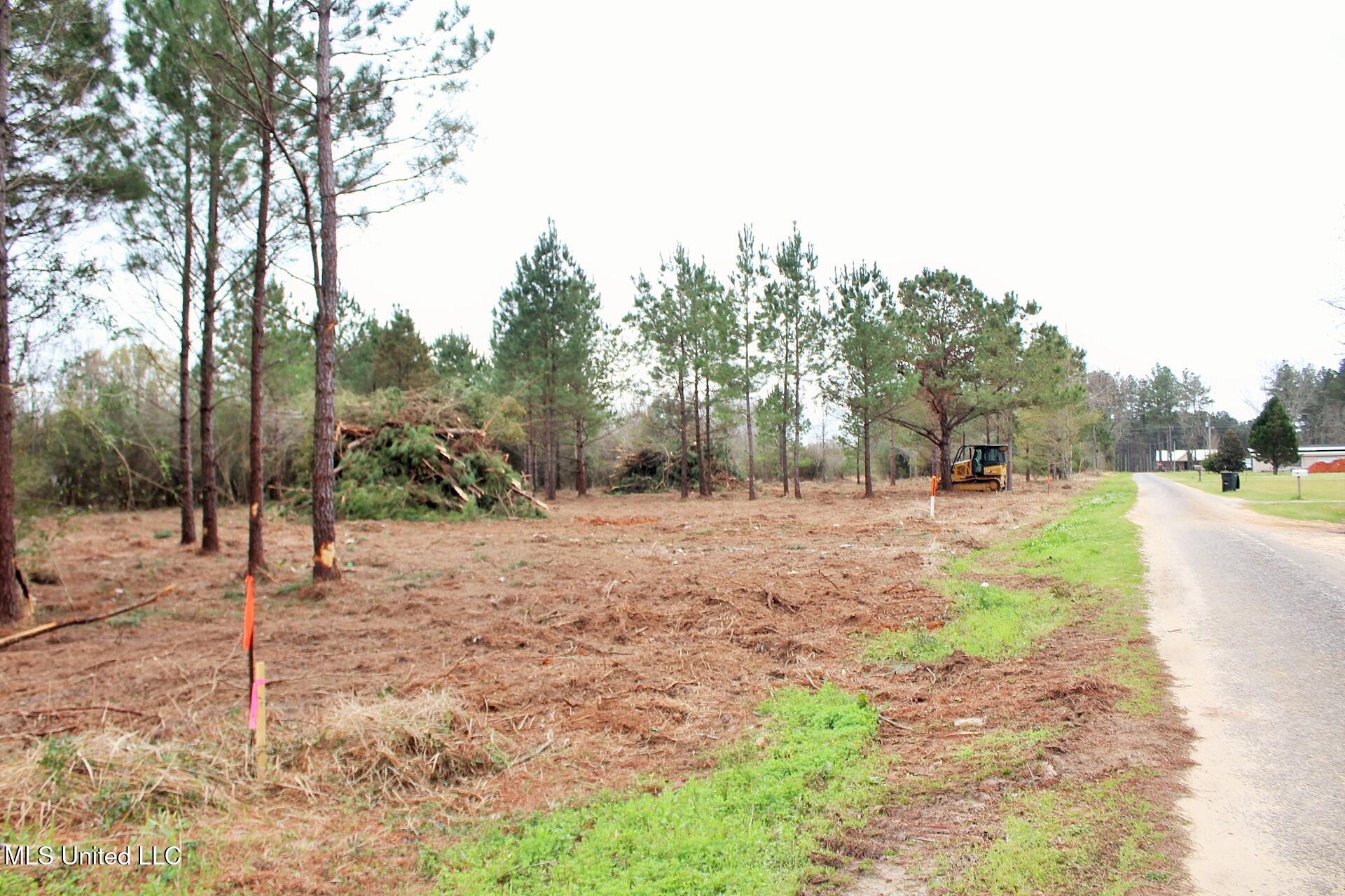 0.82ac Shannon Lane, Lucedale, Mississippi image 2