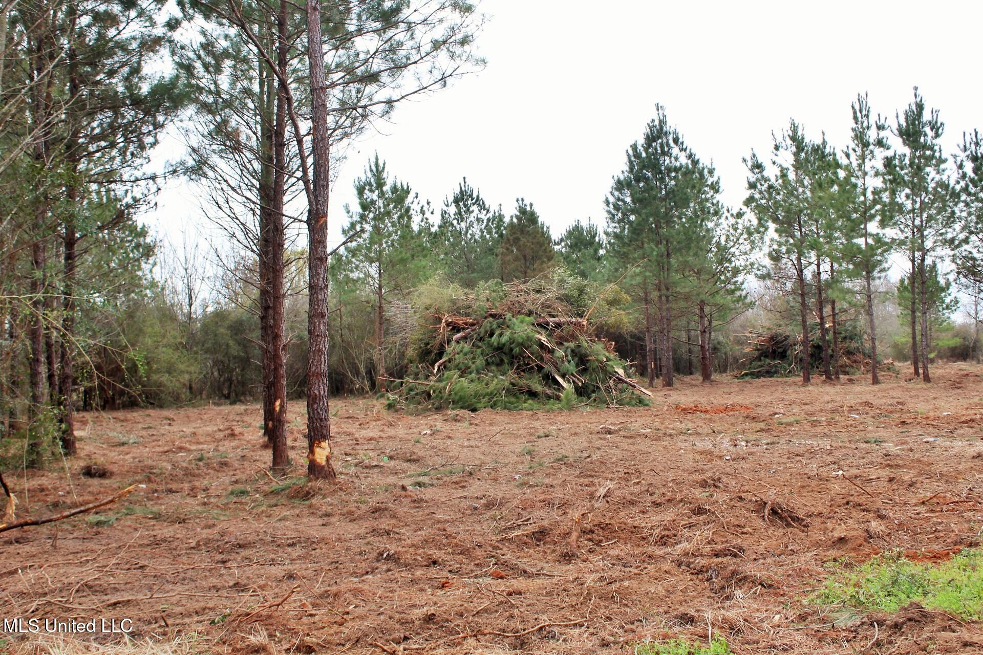 0.82ac Shannon Lane, Lucedale, Mississippi image 3
